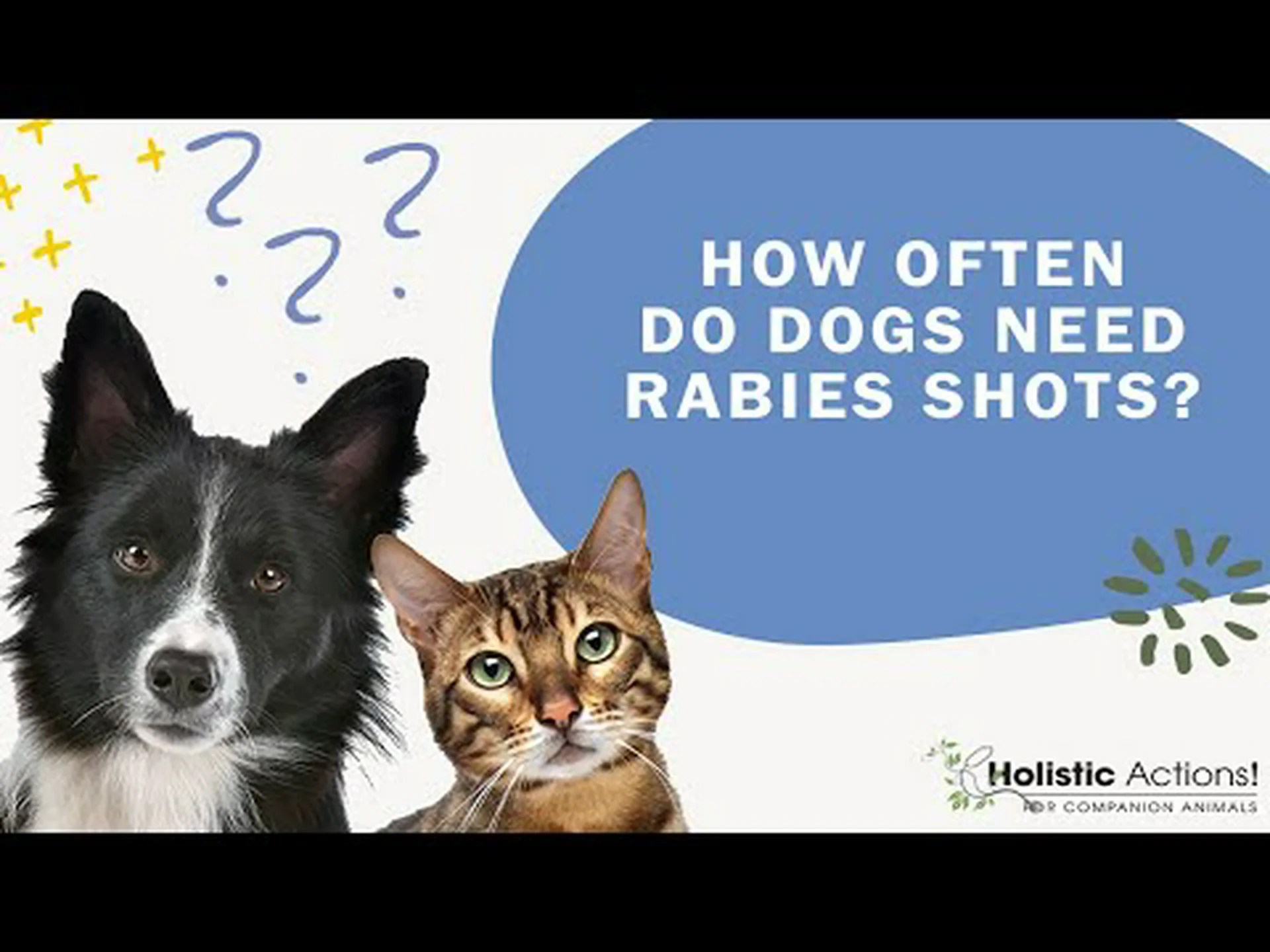 犬はどのくらいの頻度で狂犬病予防接種が必要ですか? 犬はどのくらいの頻度で狂犬病予防接種が必要ですか?