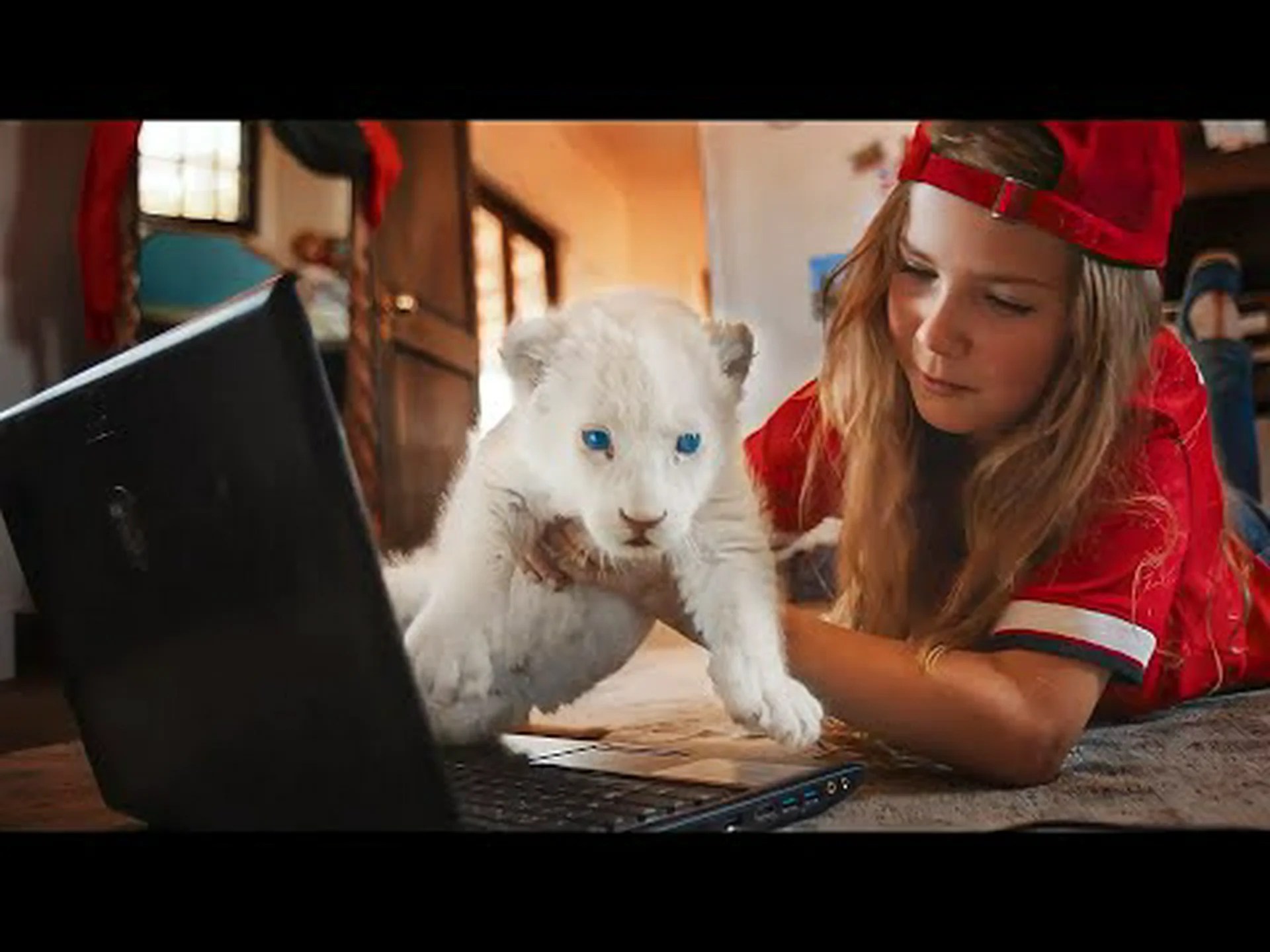 クロテンを自分で倒そうとする雌ライオンを見て、自分が十分に強くないことをすぐに悟る クロテンを自分で倒そうとする雌ライオンを見て、自分が十分に強くないことをすぐに悟る