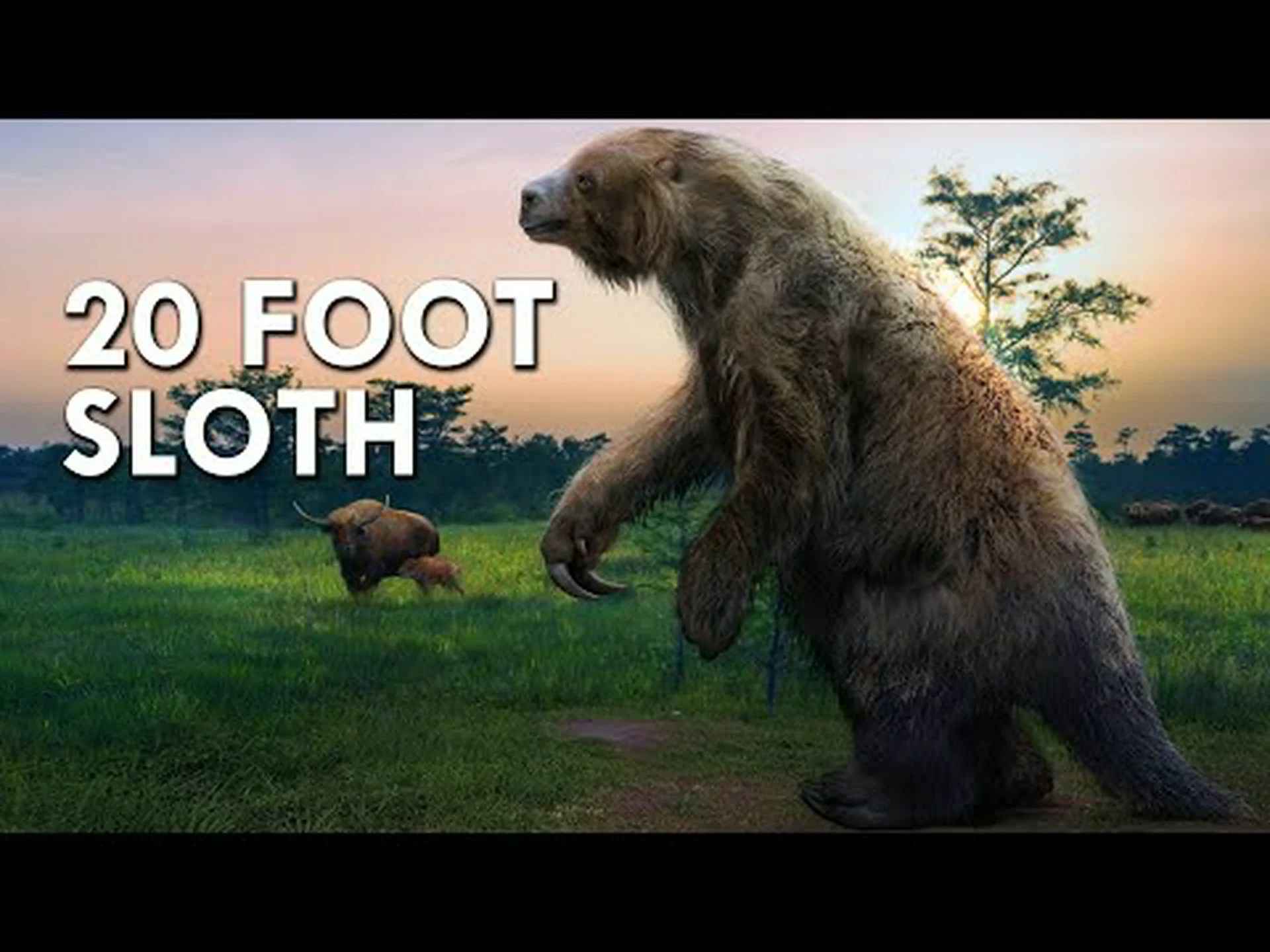 家ほどの高さ、重さ4トンのナマケモノを紹介する 家ほどの高さ、重さ4トンのナマケモノを紹介する