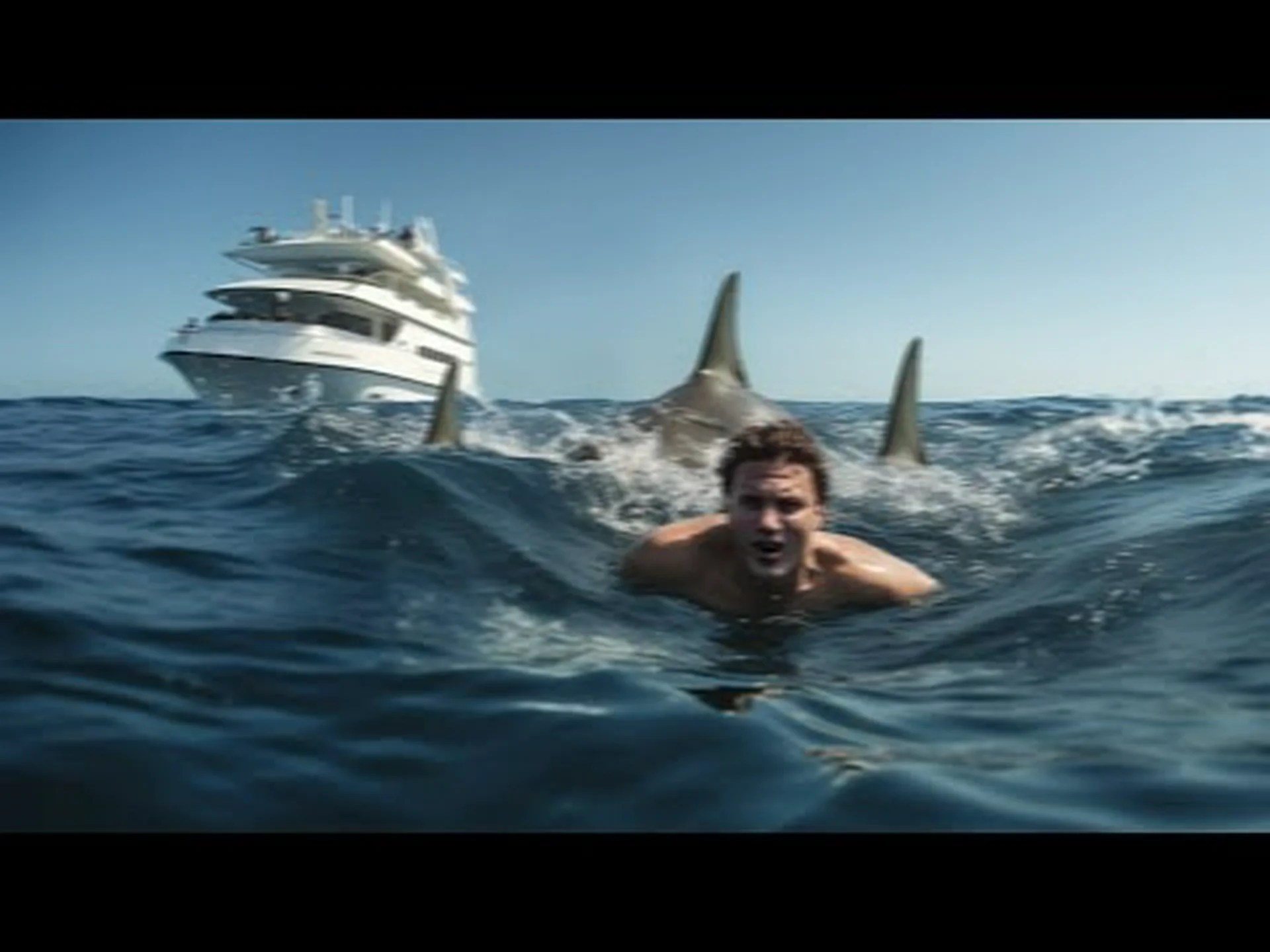 絶対に避けるべき5つのサメが出没する海域 絶対に避けるべき5つのサメが出没する海域