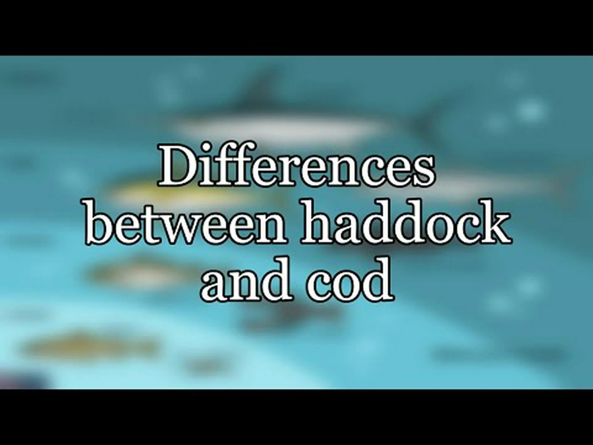 ハドックとオヒョウ: 主な違い ハドックとオヒョウ: 主な違い