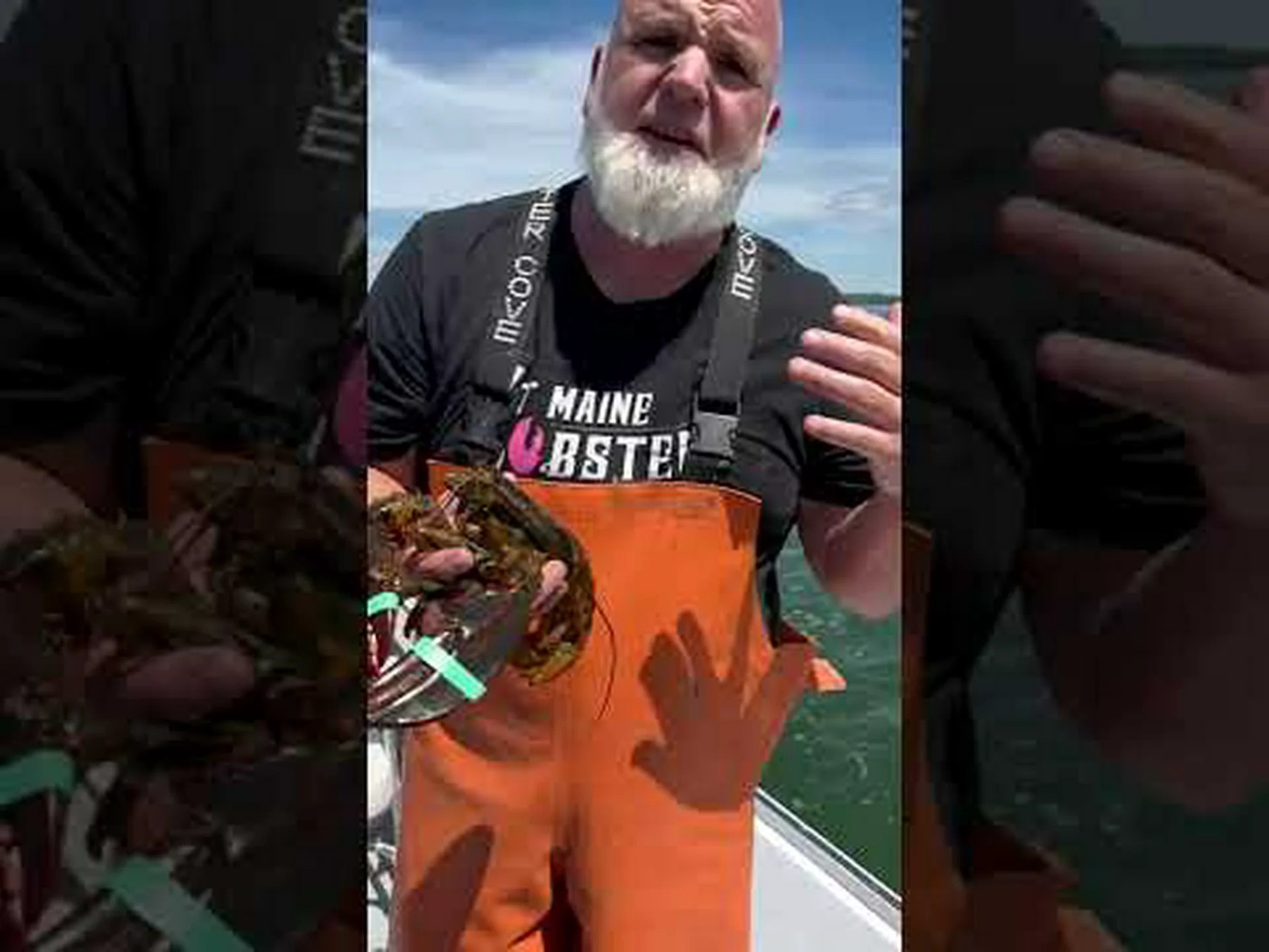 冷水ロブスターと温水ロブスターの主な違い 冷水ロブスターと温水ロブスターの主な違い