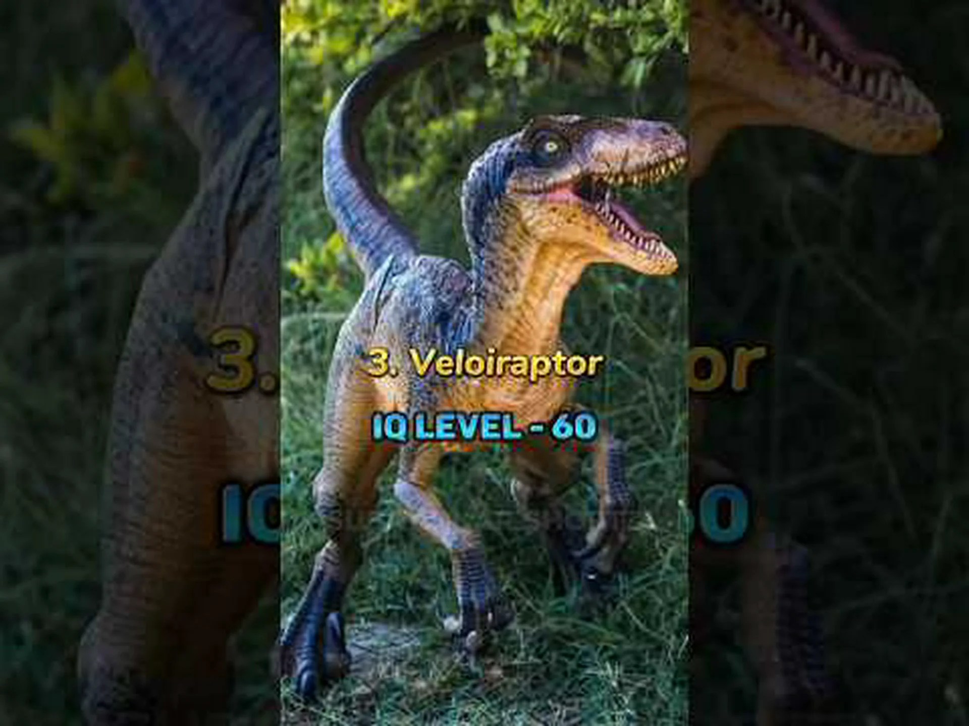 かわいいけど恐ろしい:見た目はかわいい、最も凶暴な動物10選! かわいいけど恐ろしい:見た目はかわいい、最も凶暴な動物10選!