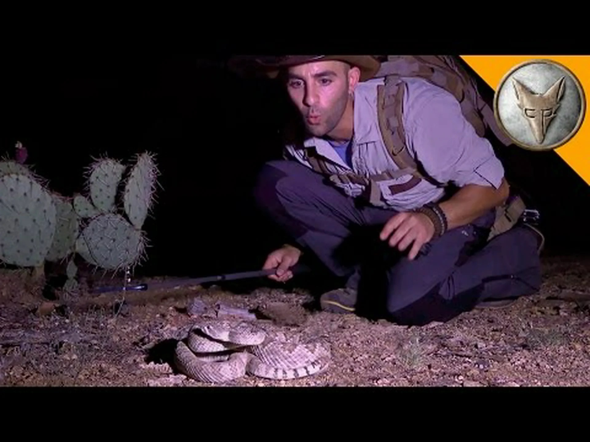 真っ暗な夜に男性が世界で最も有毒なガラガラヘビに遭遇 真っ暗な夜に男性が世界で最も有毒なガラガラヘビに遭遇