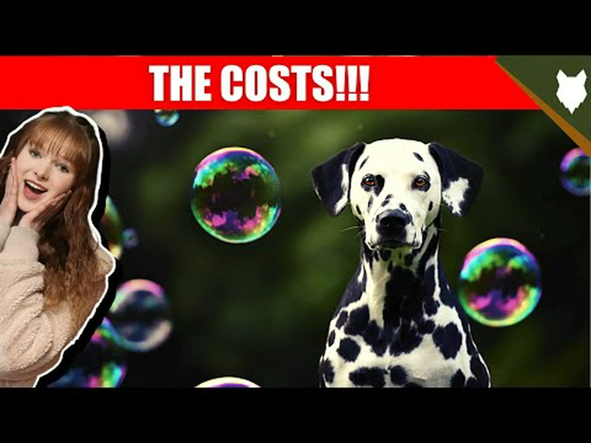 2024 年のダルメシアンの価格: 購入費用、獣医師の請求書など! 2024 年のダルメシアンの価格: 購入費用、獣医師の請求書など!