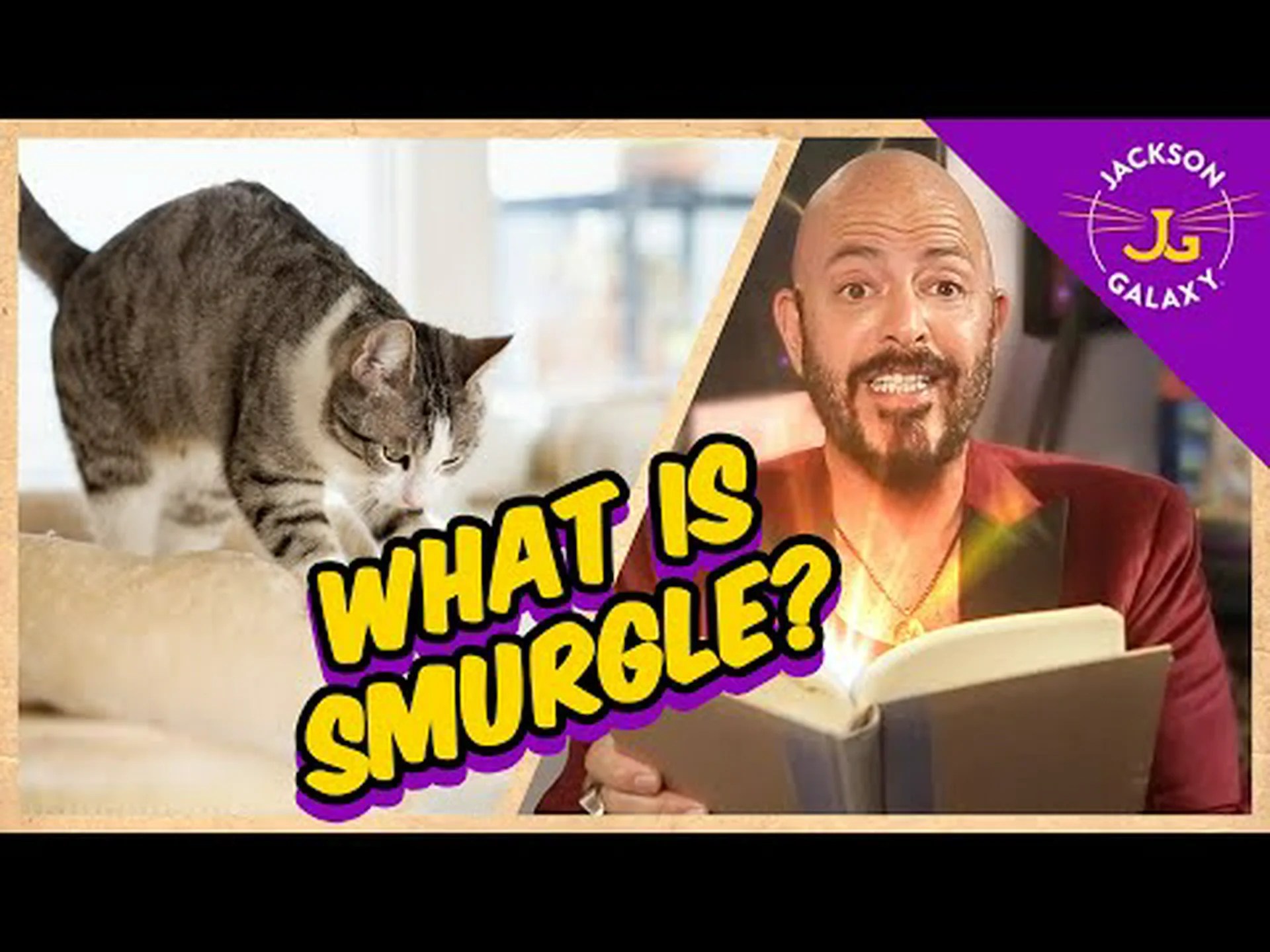 あなたの猫はなぜビスケットを作る(こねる)のでしょうか? あなたの猫はなぜビスケットを作る(こねる)のでしょうか?