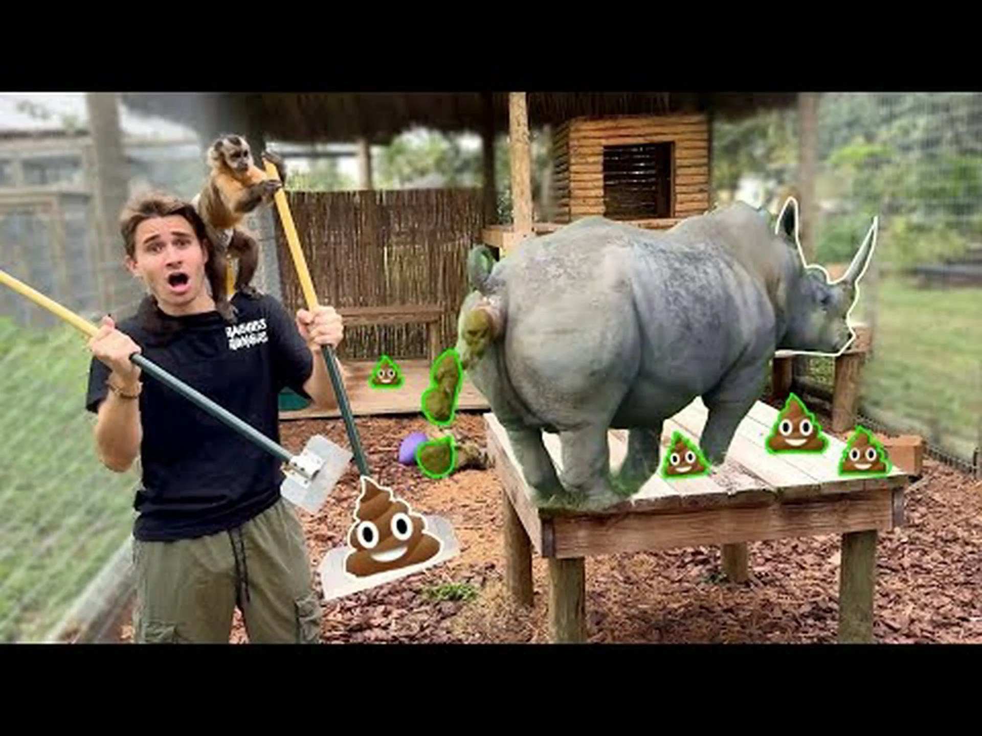 アナグマの糞: あなたが今まで知りたかったすべて アナグマの糞: あなたが今まで知りたかったすべて