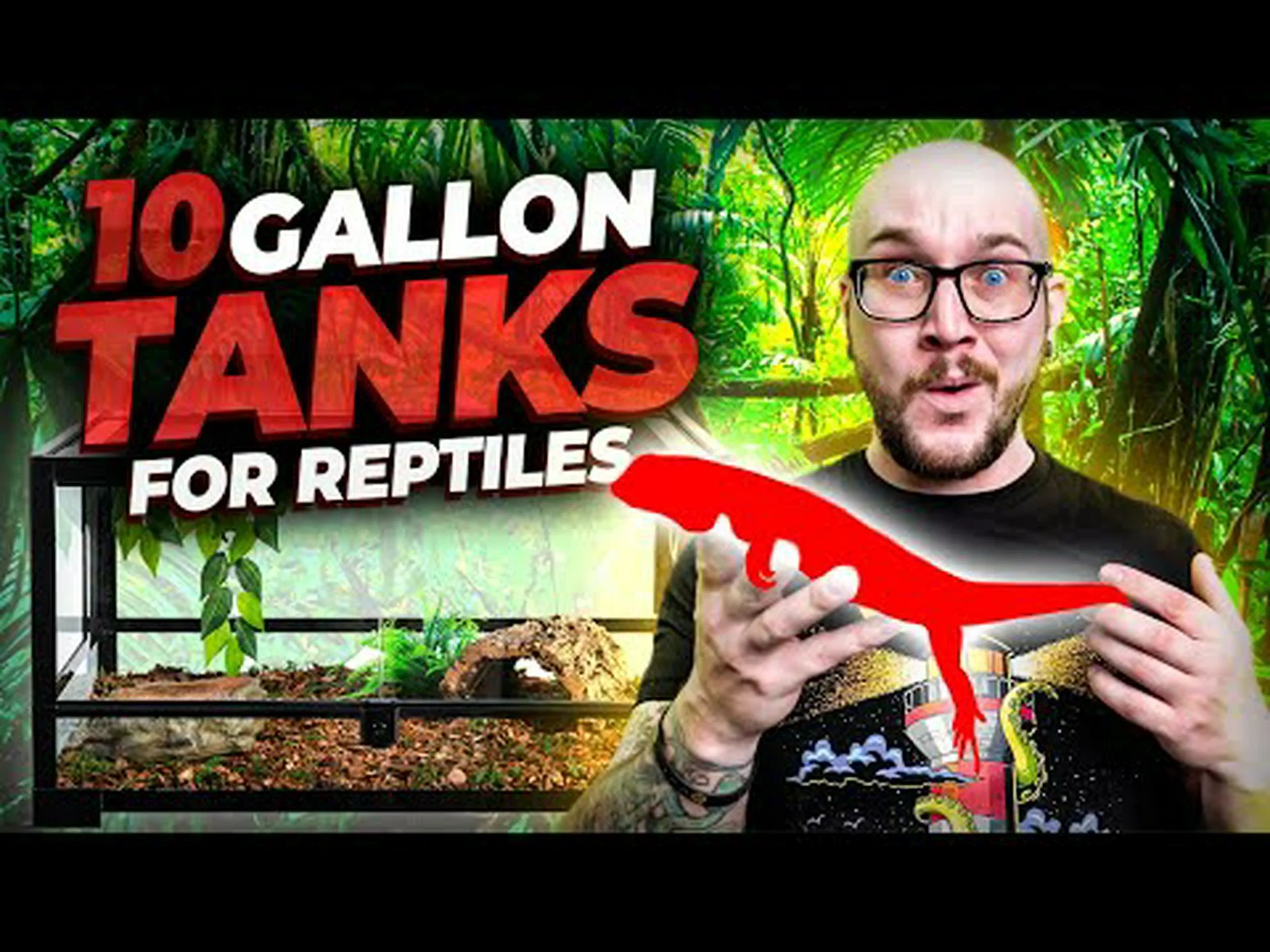 10ガロンの水槽に(快適に)収まる6匹のヘビ 10ガロンの水槽に(快適に)収まる6匹のヘビ