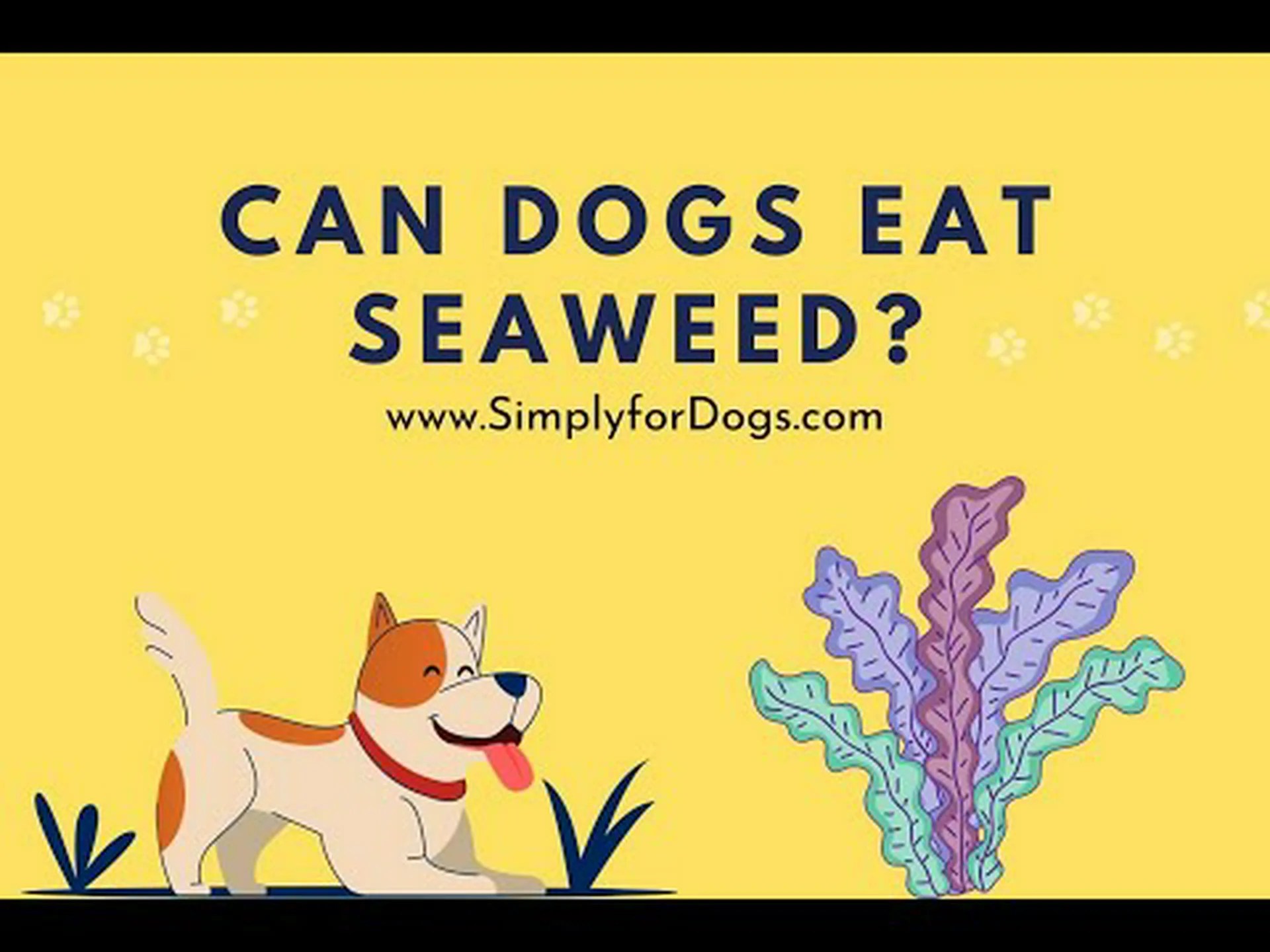 犬は海藻を食べても病気にならないのでしょうか? 犬は海藻を食べても病気にならないのでしょうか?