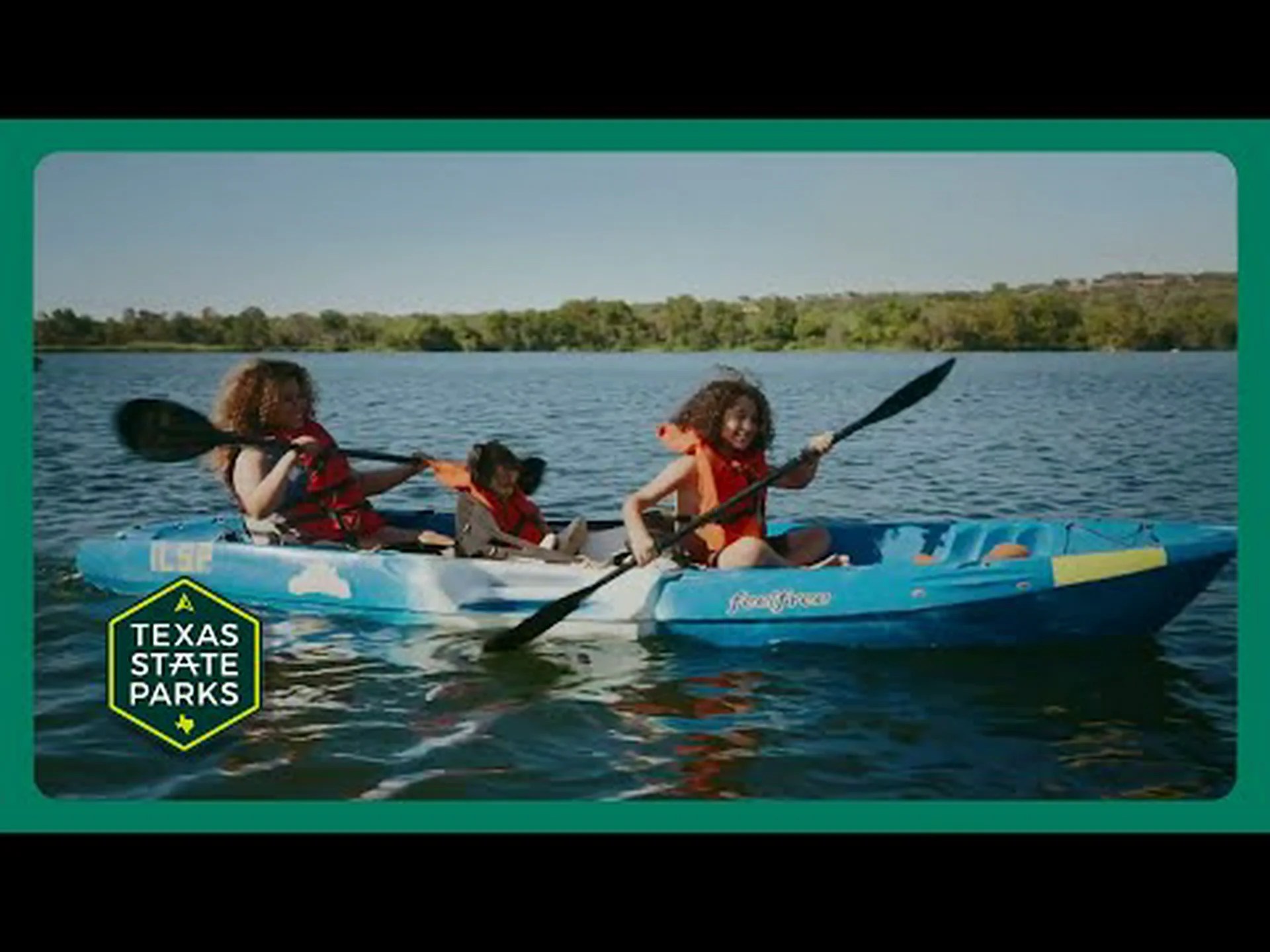 テネシー州で最も危険な動物を発見する テネシー州で最も危険な動物を発見する