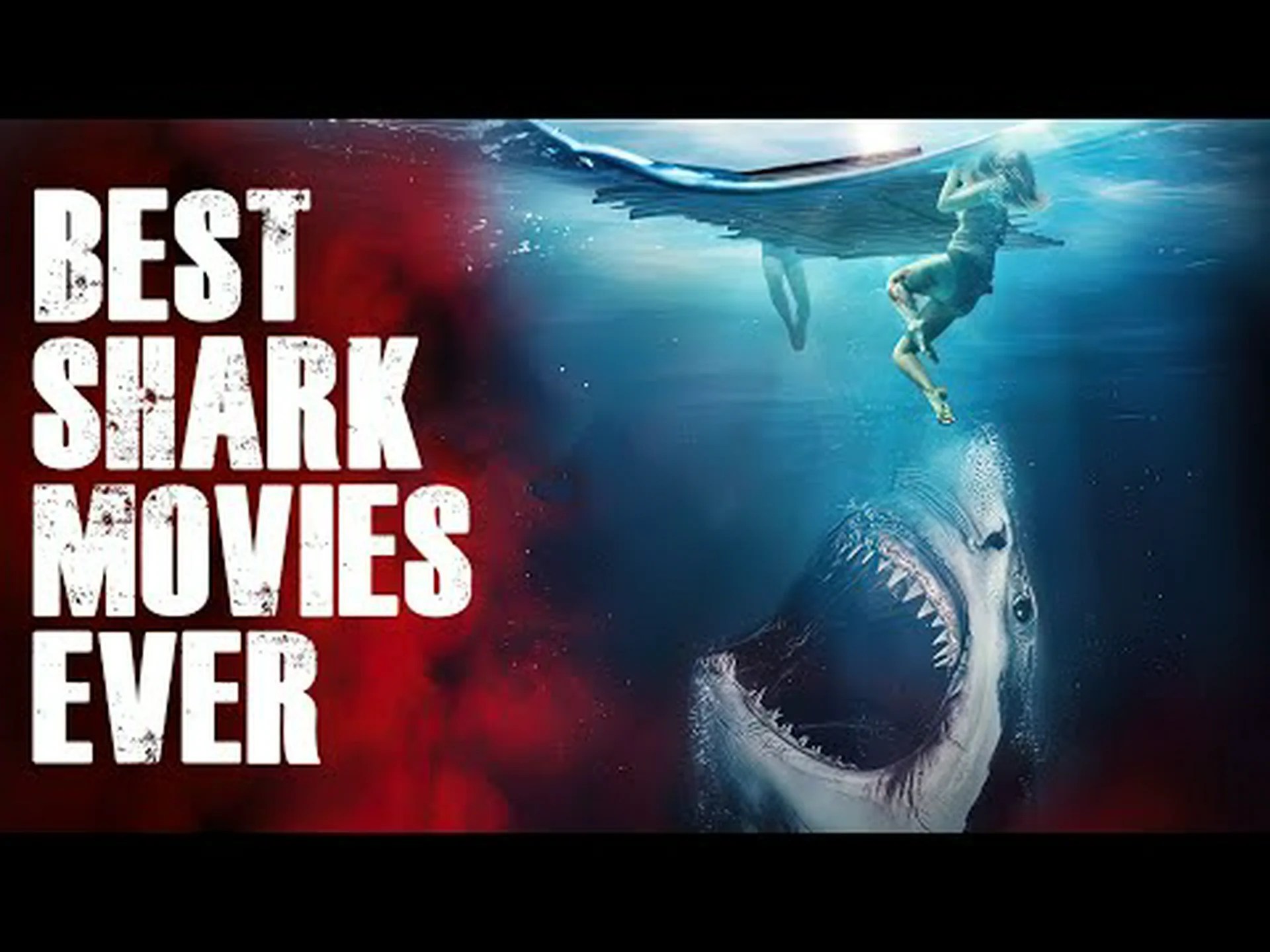 史上トップ10のサメ映画とリストに入らなかった5本 史上トップ10のサメ映画とリストに入らなかった5本
