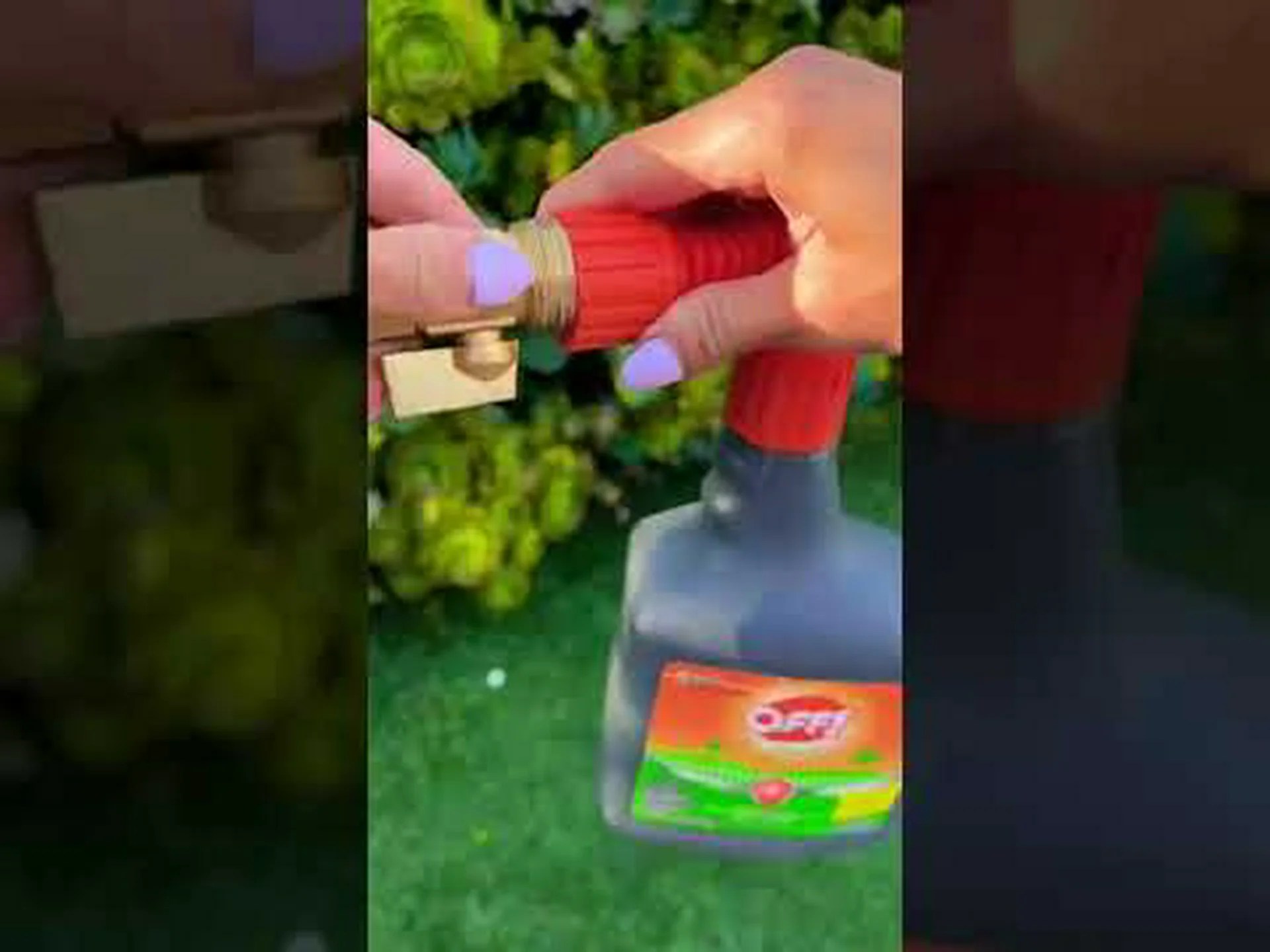 ワシントンの最低点を発見する ワシントンの最低点を発見する