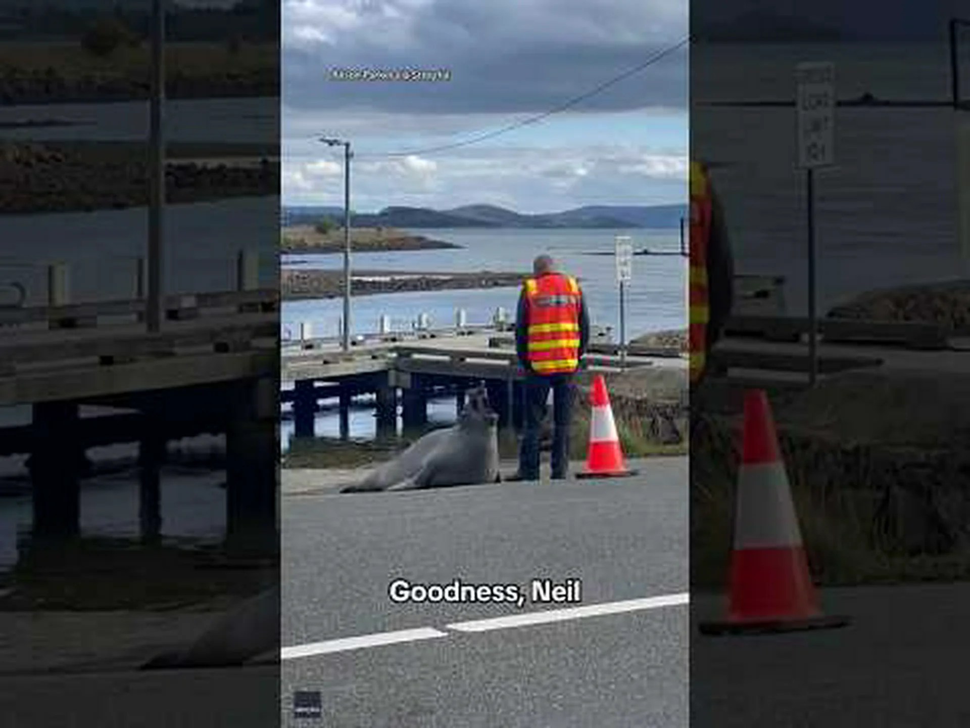 命を救うためにアザラシの群れに遭遇するヒーローを見守る 命を救うためにアザラシの群れに遭遇するヒーローを見守る