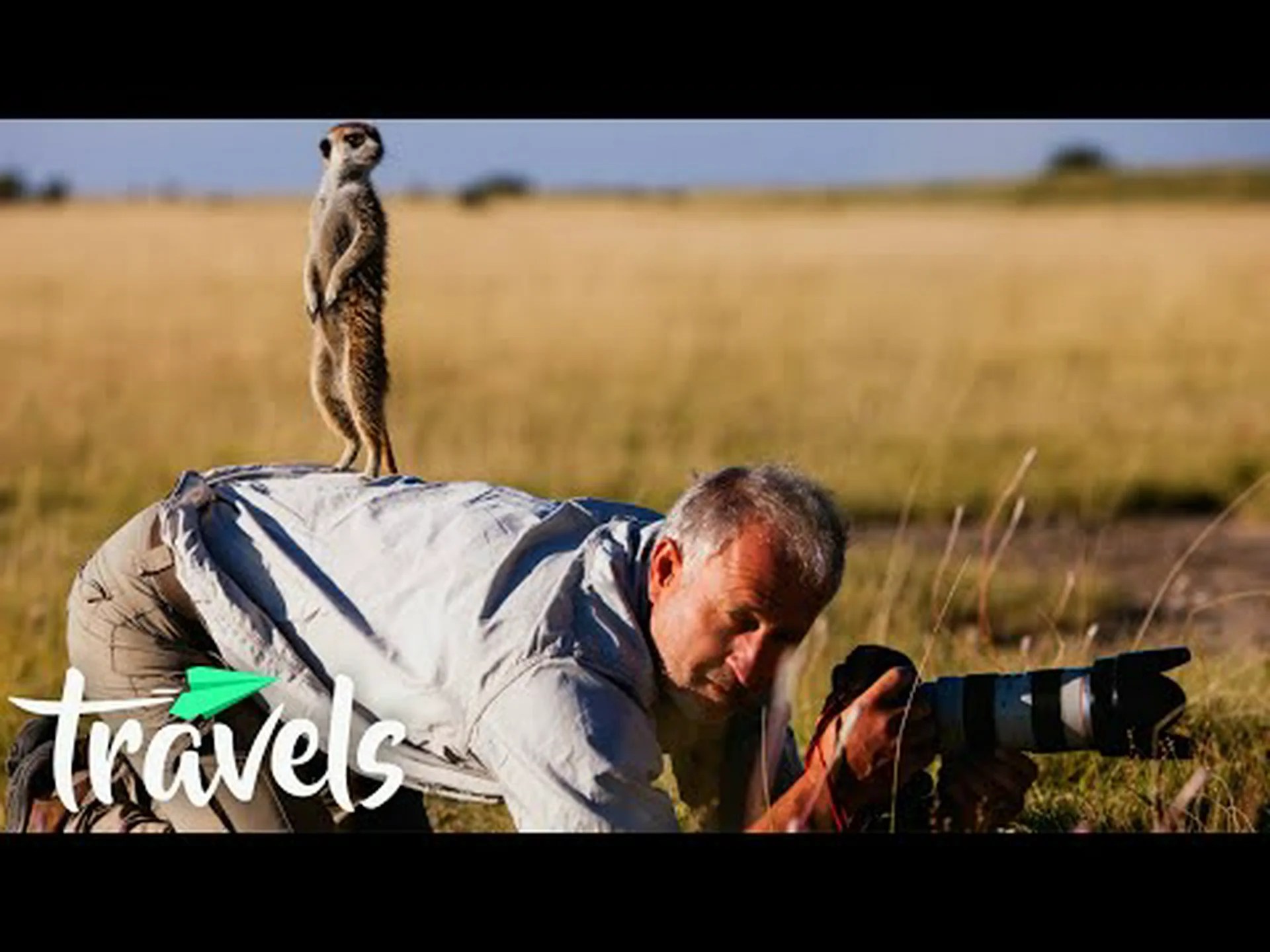 ジョージア州で野生動物を見るのに最適な場所トップ 10 ジョージア州で野生動物を見るのに最適な場所トップ 10