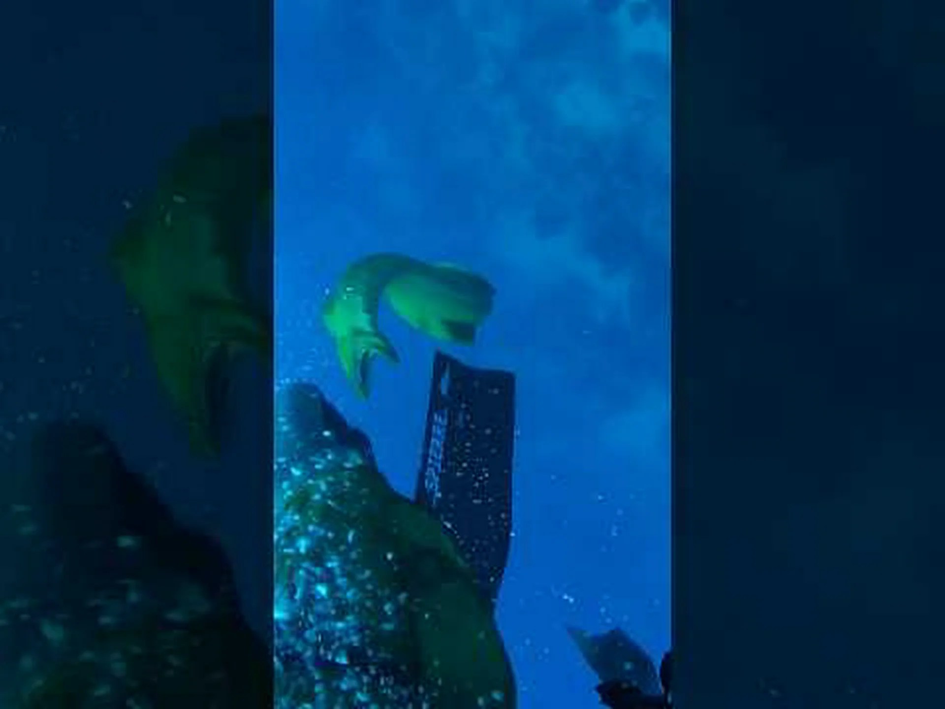 深海に潜っていた男性が巨大なウナギに襲われて真っ暗になる様子を観察する 深海に潜っていた男性が巨大なウナギに襲われて真っ暗になる様子を観察する