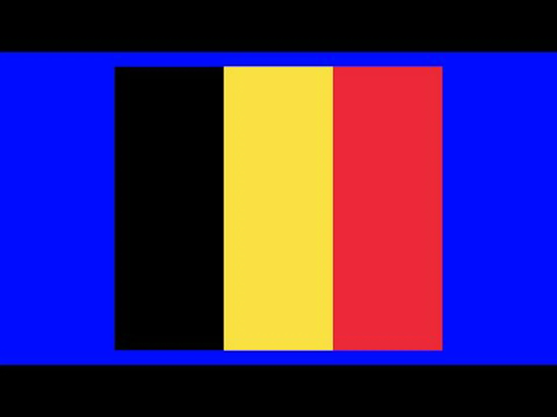 ベルギーの国旗: 歴史、意味、象徴性 ベルギーの国旗: 歴史、意味、象徴性