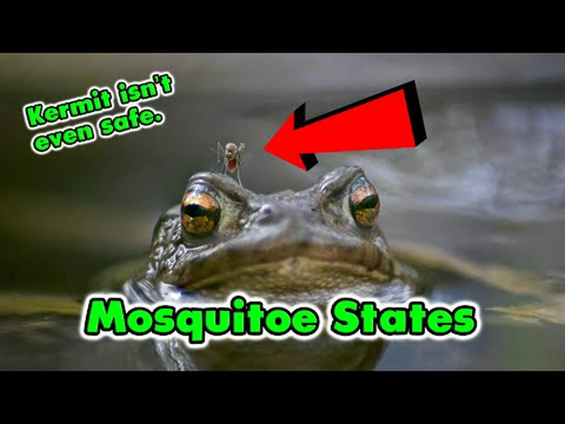 米国で最も蚊が発生している州トップ 10 を知る 米国で最も蚊が発生している州トップ 10 を知る