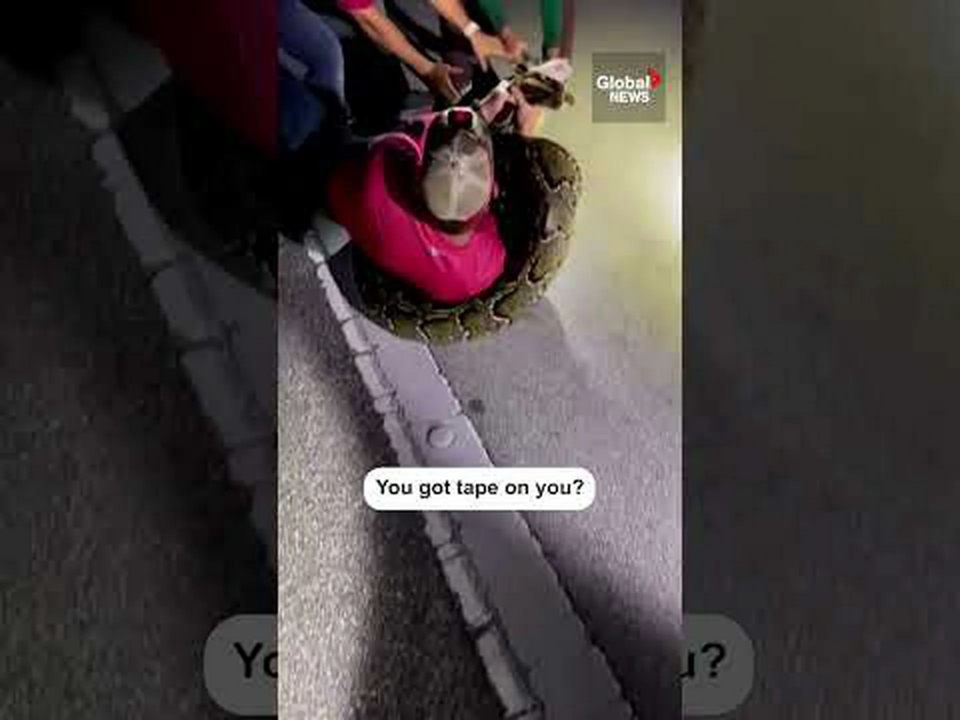 フロリダのビルマニシキヘビは2024年になっても依然として脅威でしょうか? フロリダのビルマニシキヘビは2024年になっても依然として脅威でしょうか?