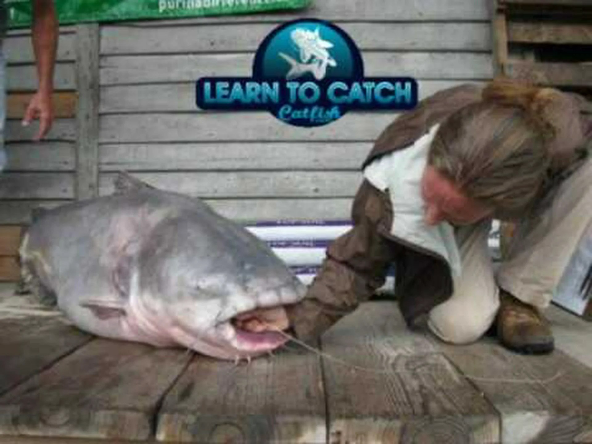 ミズーリ州で史上最大の青いナマズを発見 ミズーリ州で史上最大の青いナマズを発見