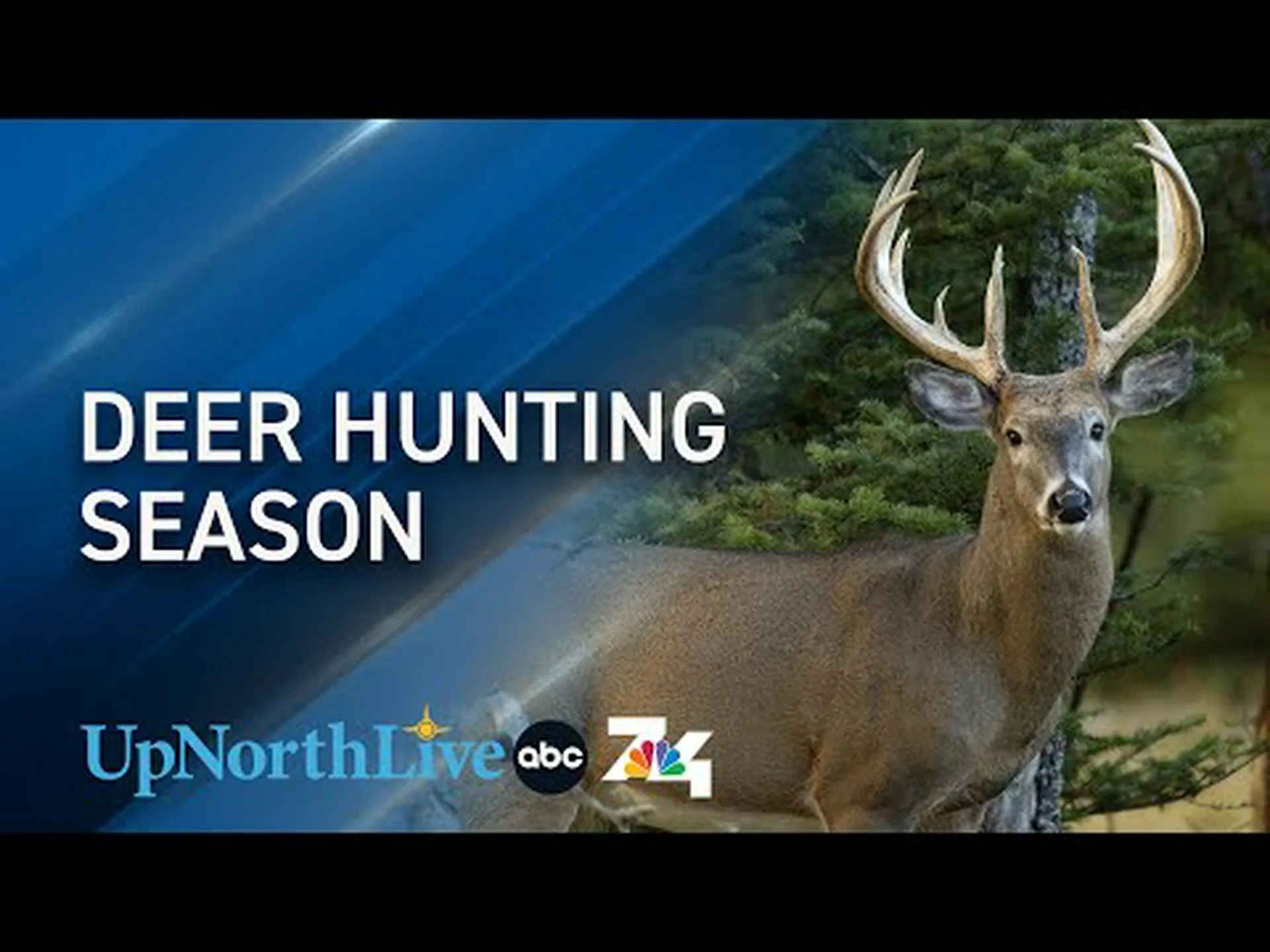 ミシガン州の鹿の季節:準備のために知っておくべきことすべて ミシガン州の鹿の季節:準備のために知っておくべきことすべて