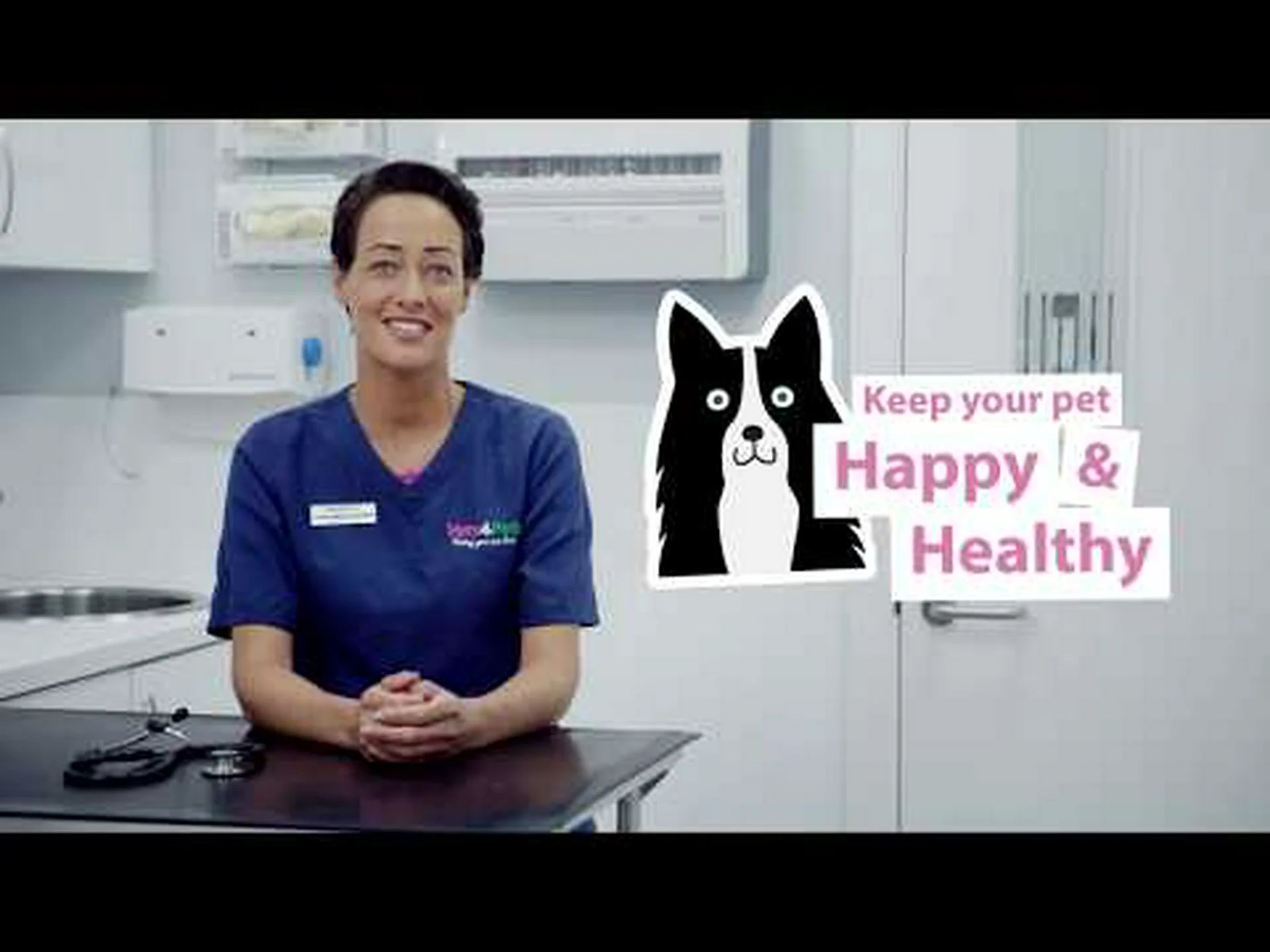 ケンネルコフとは何ですか: 犬がそれに感染する 6 つの方法、兆候と症状、およびその治療方法 ケンネルコフとは何ですか: 犬がそれに感染する 6 つの方法、兆候と症状、およびその治療方法