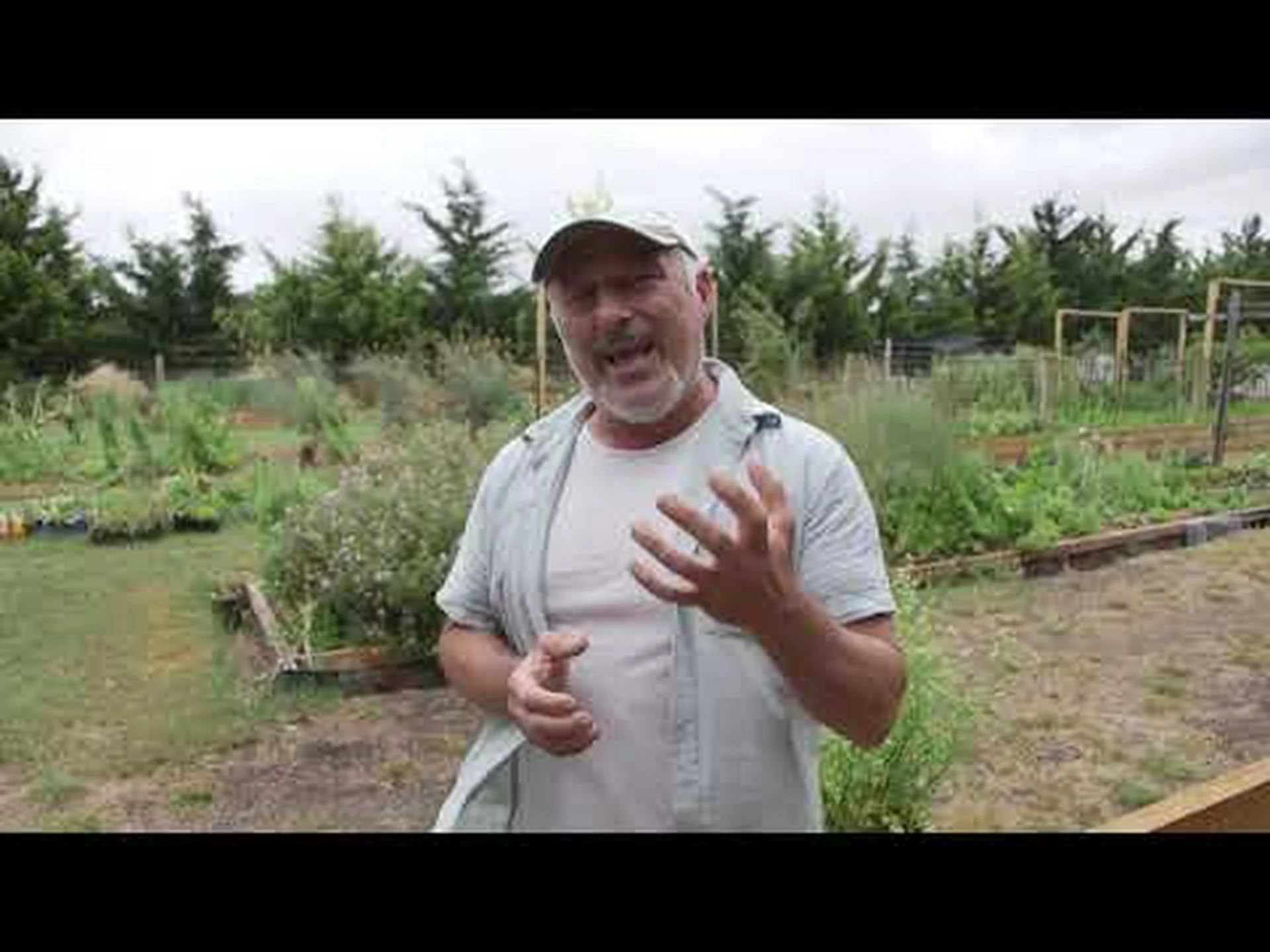 表土、マルチ、堆肥: 3 つの主な違いを発見する 表土、マルチ、堆肥: 3 つの主な違いを発見する