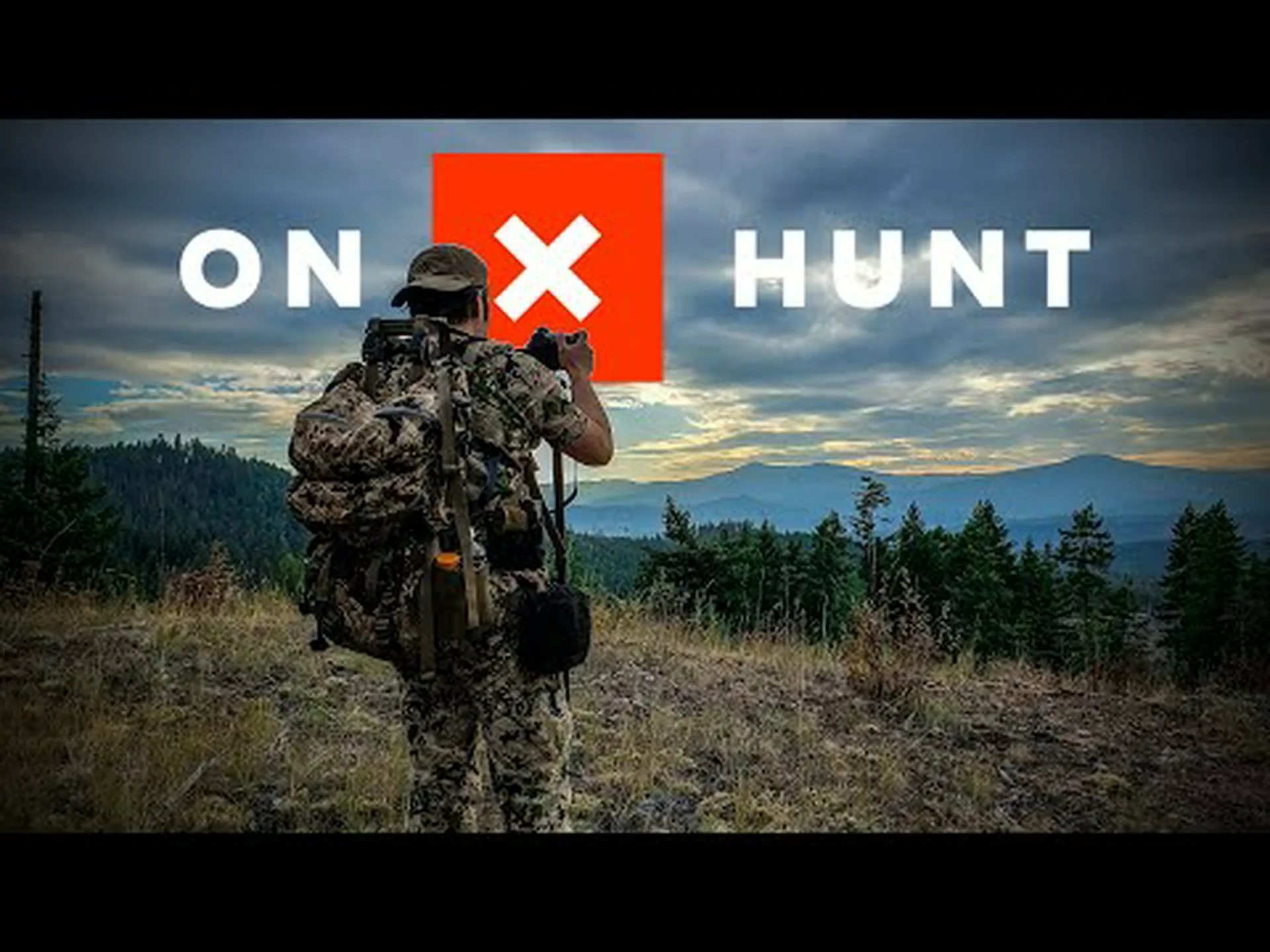 ワシントンの鹿の季節: 準備のために知っておくべきことすべて ワシントンの鹿の季節: 準備のために知っておくべきことすべて