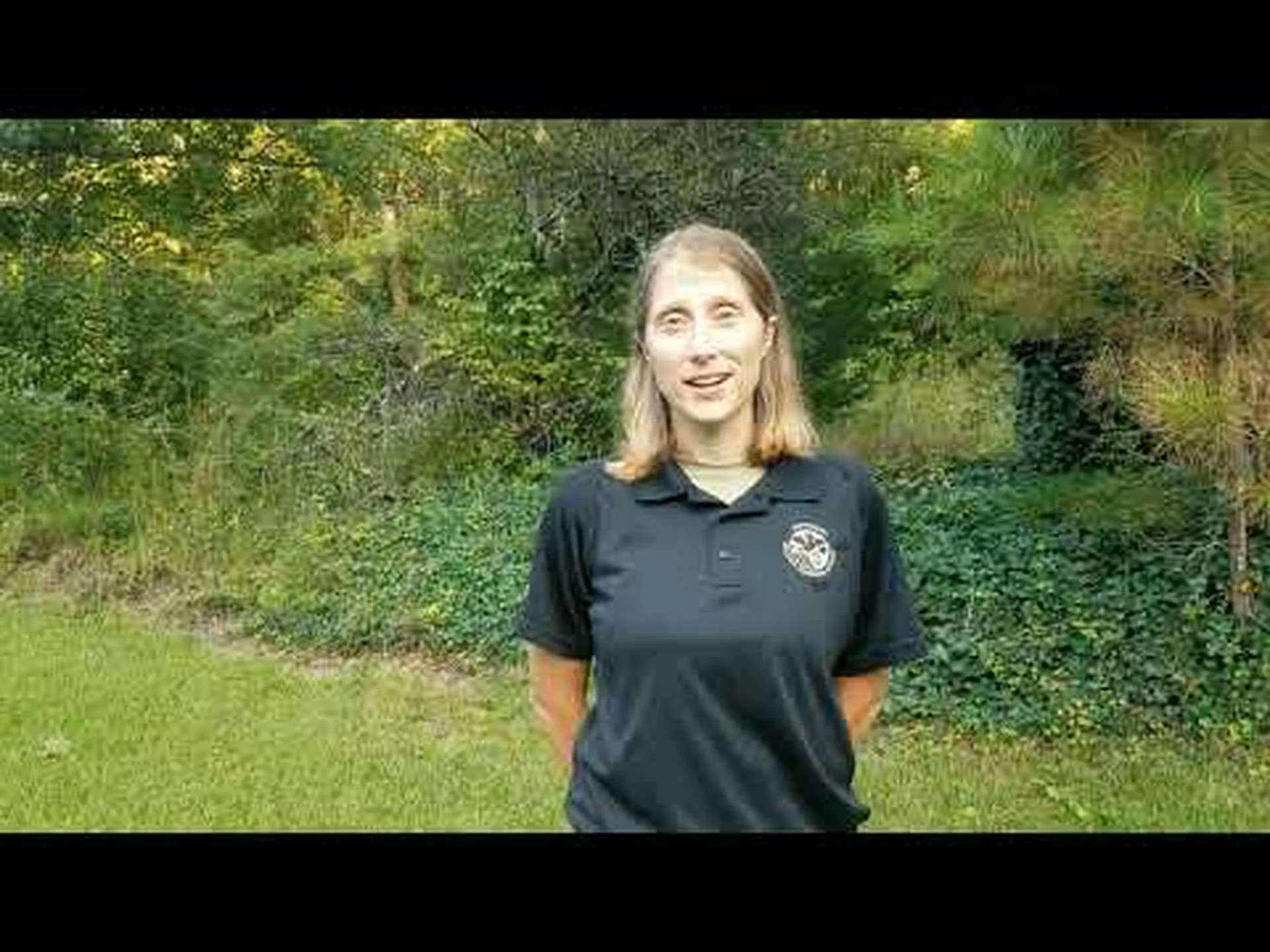 ミシシッピ川で 7 種類のコウモリに会いましょう ミシシッピ川で 7 種類のコウモリに会いましょう