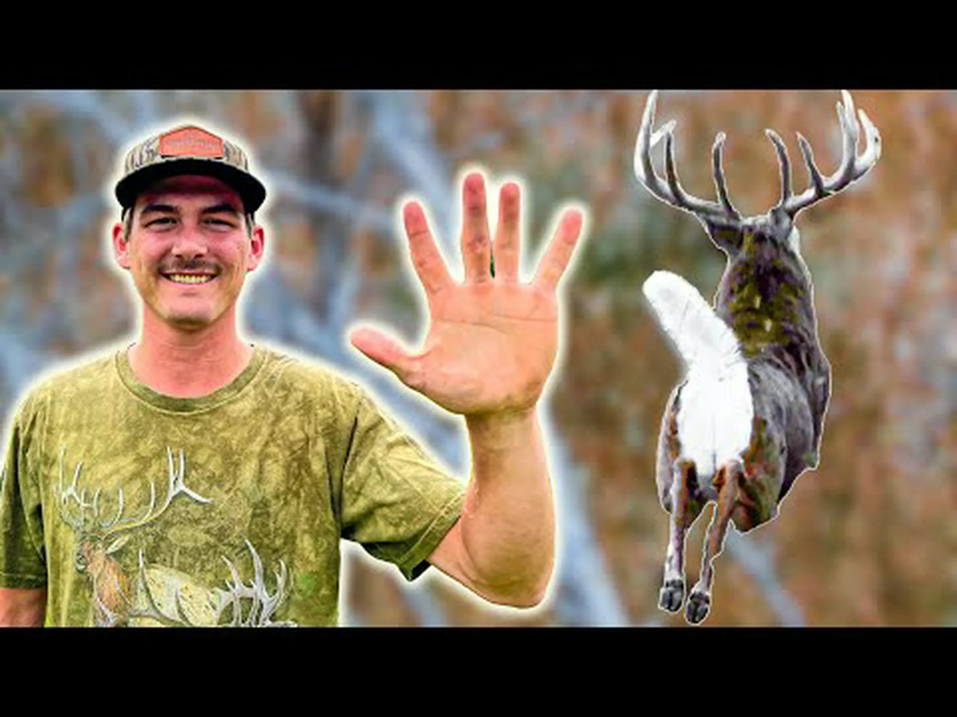 マサチューセッツ州の鹿の季節: 準備のために知っておくべきことすべて マサチューセッツ州の鹿の季節: 準備のために知っておくべきことすべて