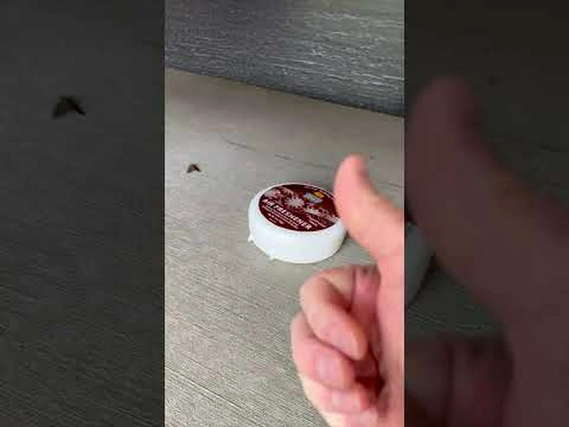 ミラーガを寄せ付けないための 9 つの DIY ソリューションを発見する ミラーガを寄せ付けないための 9 つの DIY ソリューションを発見する