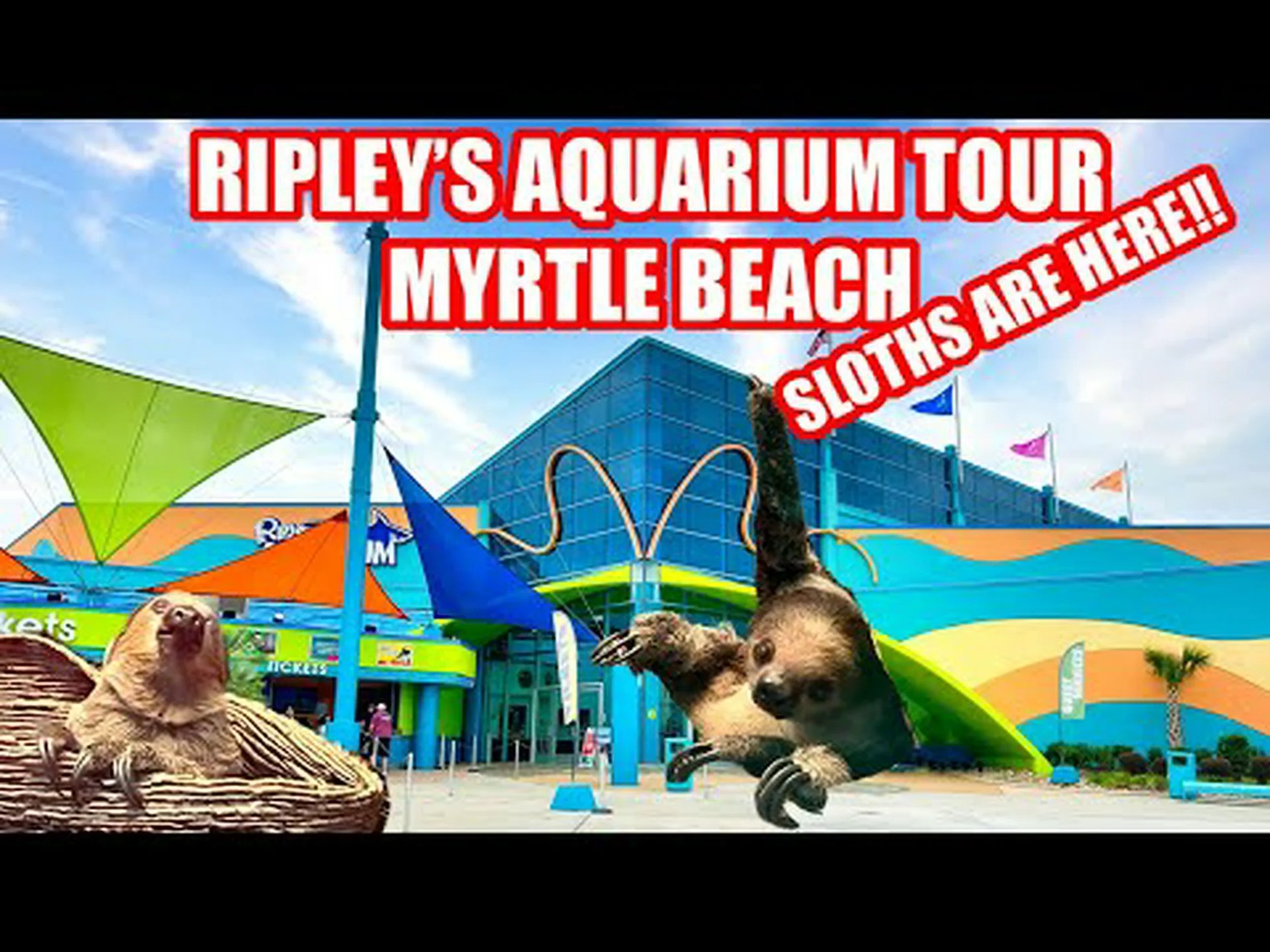 サウスカロライナ州マートルビーチで最高の水族館 サウスカロライナ州マートルビーチで最高の水族館