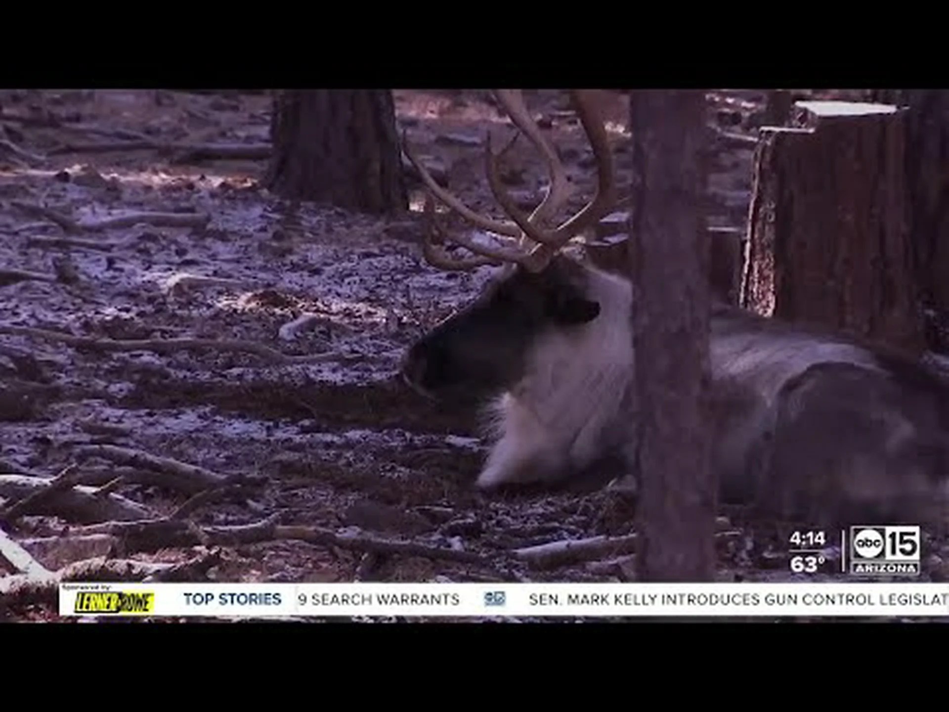 この冬はアリゾナ史上最も暖かかった冬と比べてどうでしたか? この冬はアリゾナ史上最も暖かかった冬と比べてどうでしたか?