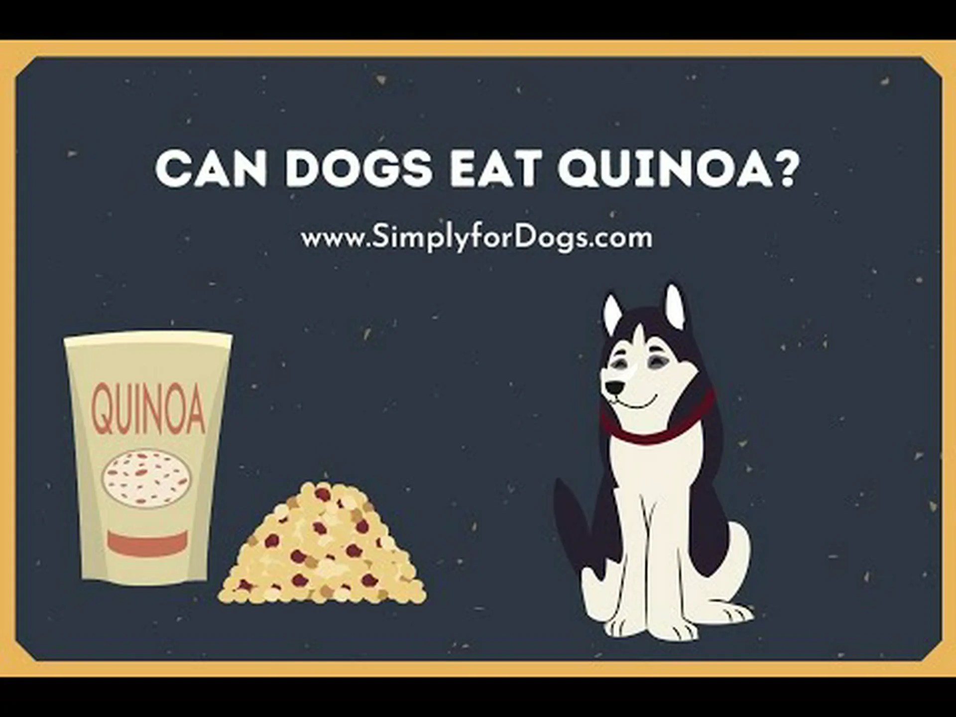 犬はキヌアを安全に食べられますか?場合によります 犬はキヌアを安全に食べられますか?場合によります