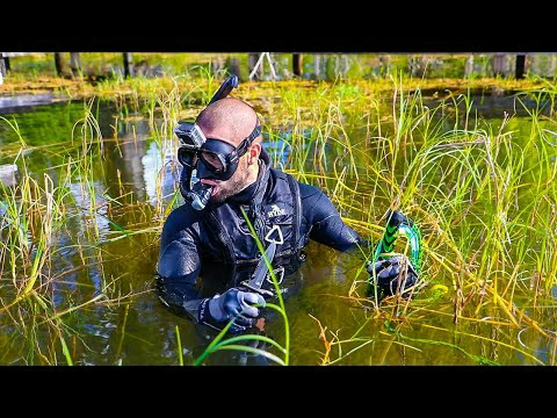 オンタリオ州で最もヘビが出没する6つの湖 オンタリオ州で最もヘビが出没する6つの湖