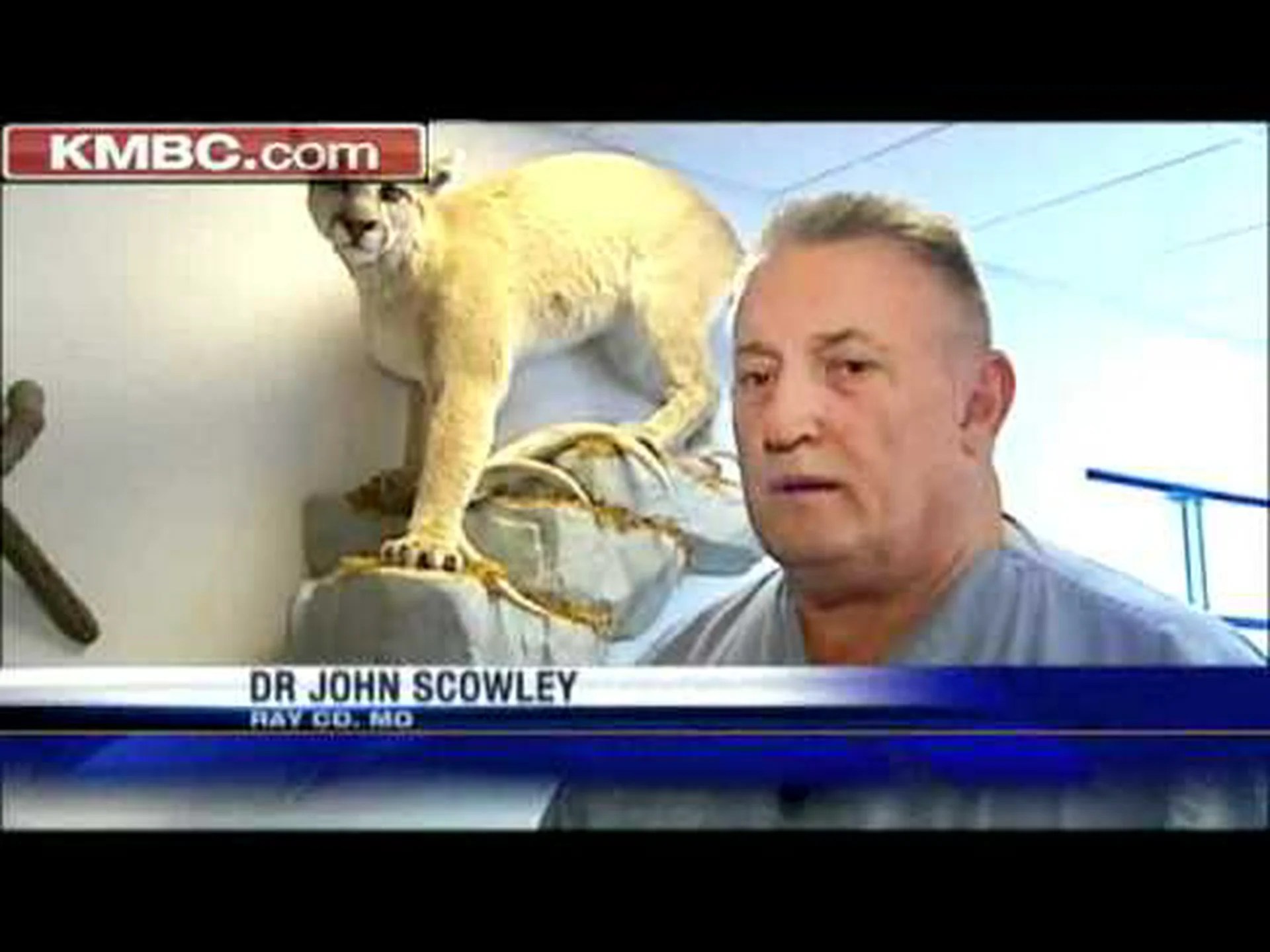 ミズーリ州のピューマは復活していますか? ミズーリ州のピューマは復活していますか?