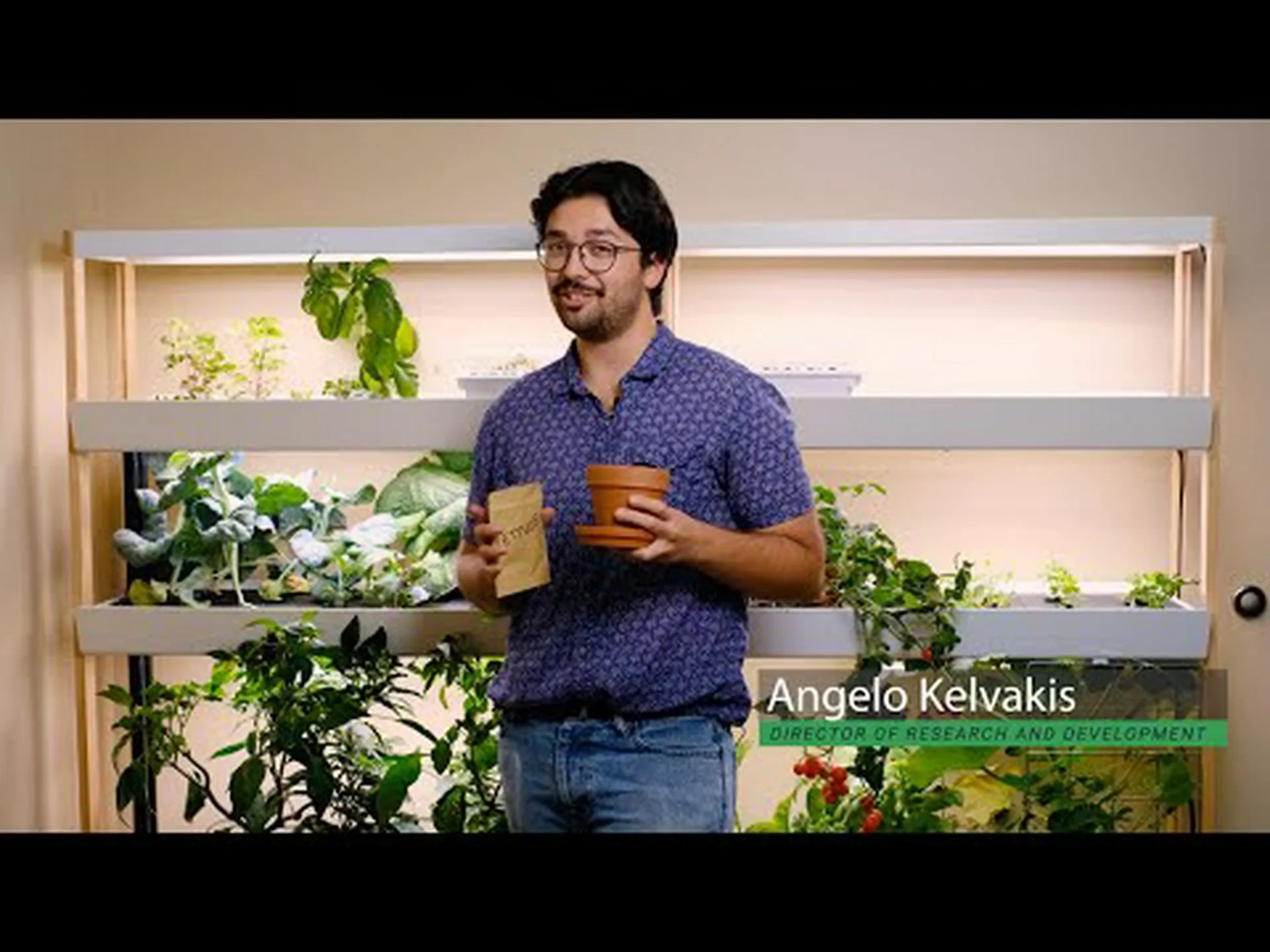 室内でレタスを育てる方法: 植物を成長させるための簡単な手順 室内でレタスを育てる方法: 植物を成長させるための簡単な手順