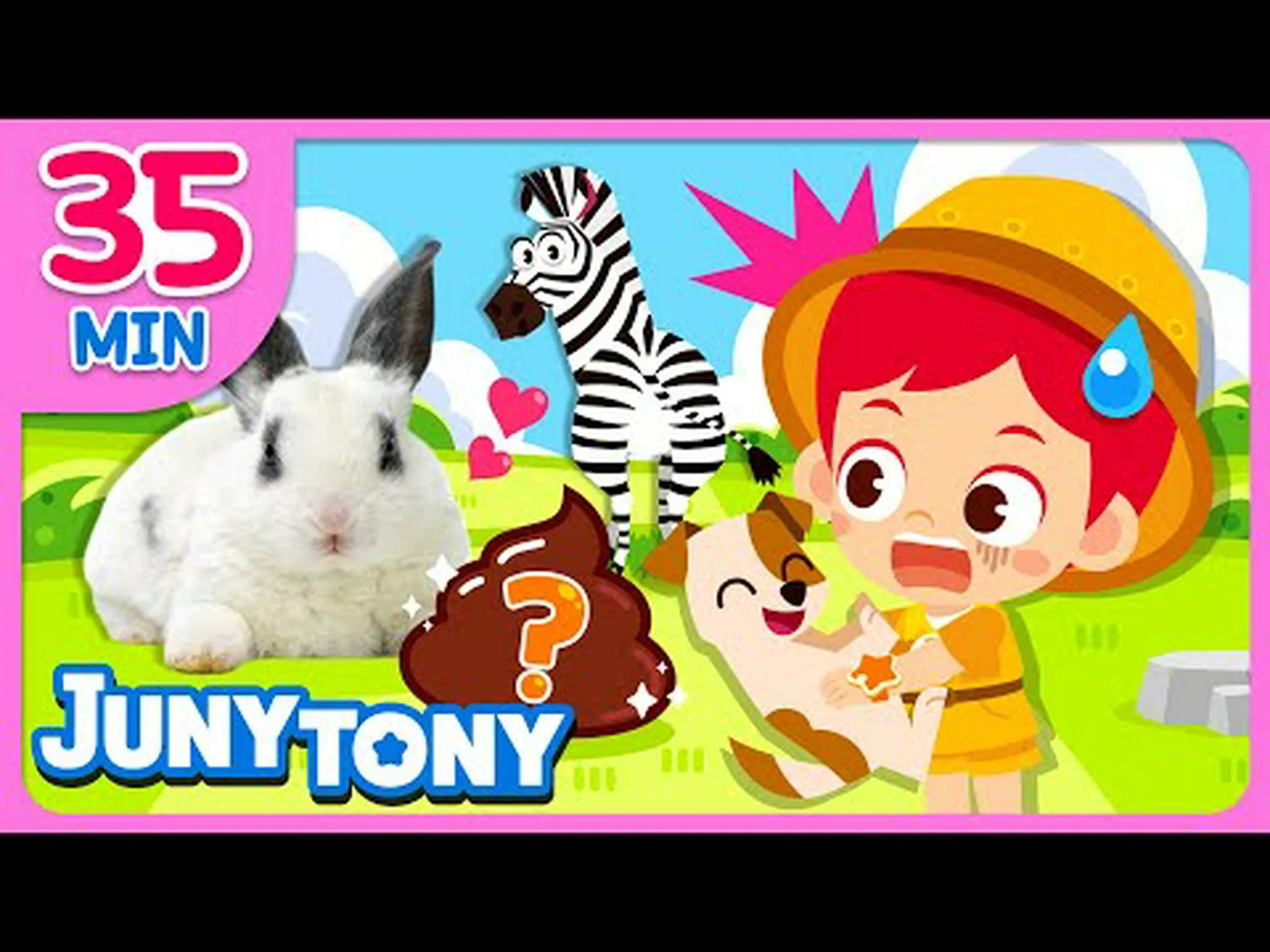 ウサギのしっぽ: あなたが知りたかったすべて ウサギのしっぽ: あなたが知りたかったすべて