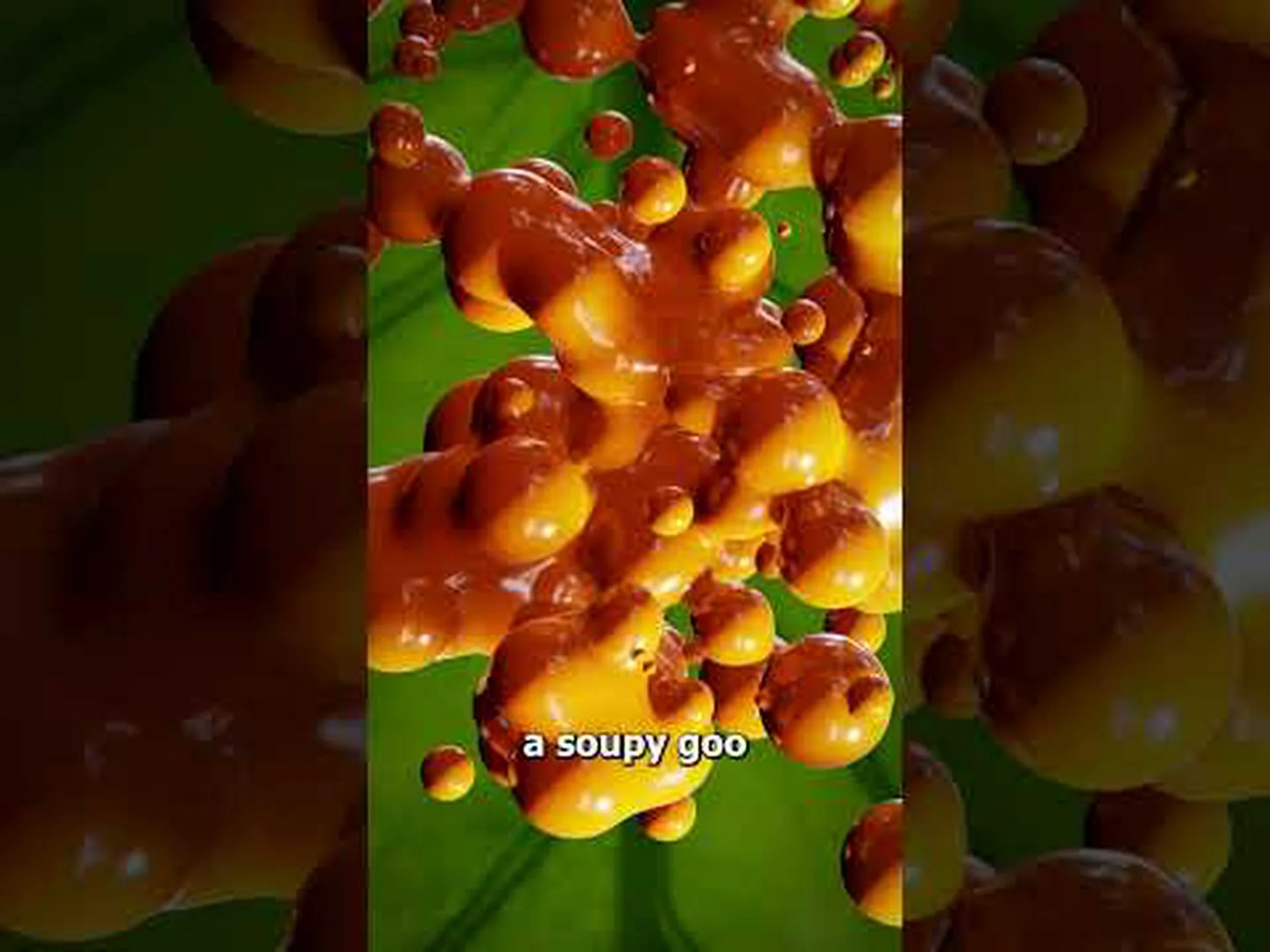 すべてのイモムシは蝶になるのでしょうか?できるものとできない6つのタイプ すべてのイモムシは蝶になるのでしょうか?できるものとできない6つのタイプ