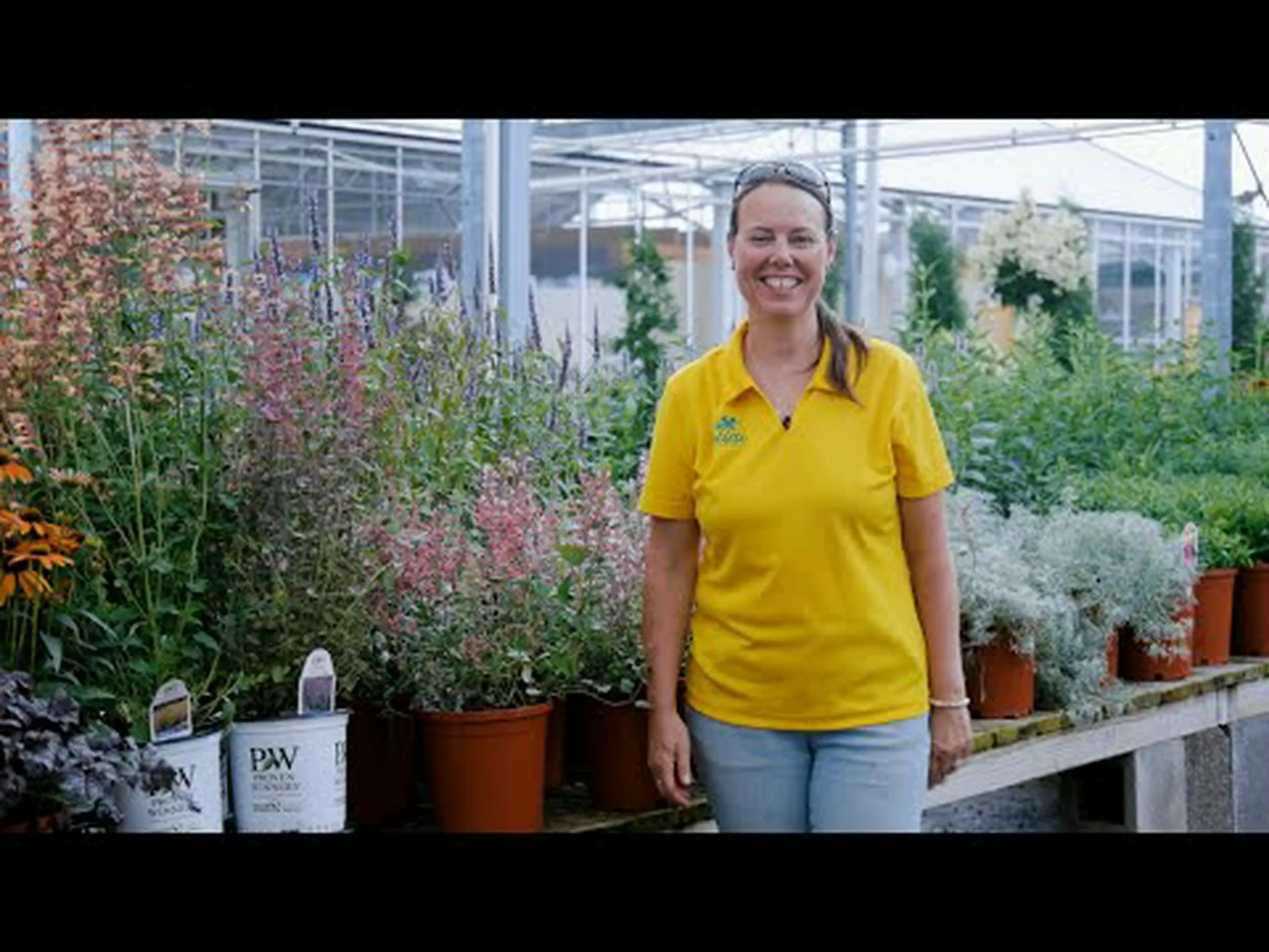 ハミングバードミントとは何ですか?花粉媒介者の庭でそれを育てる方法 ハミングバードミントとは何ですか?花粉媒介者の庭でそれを育てる方法