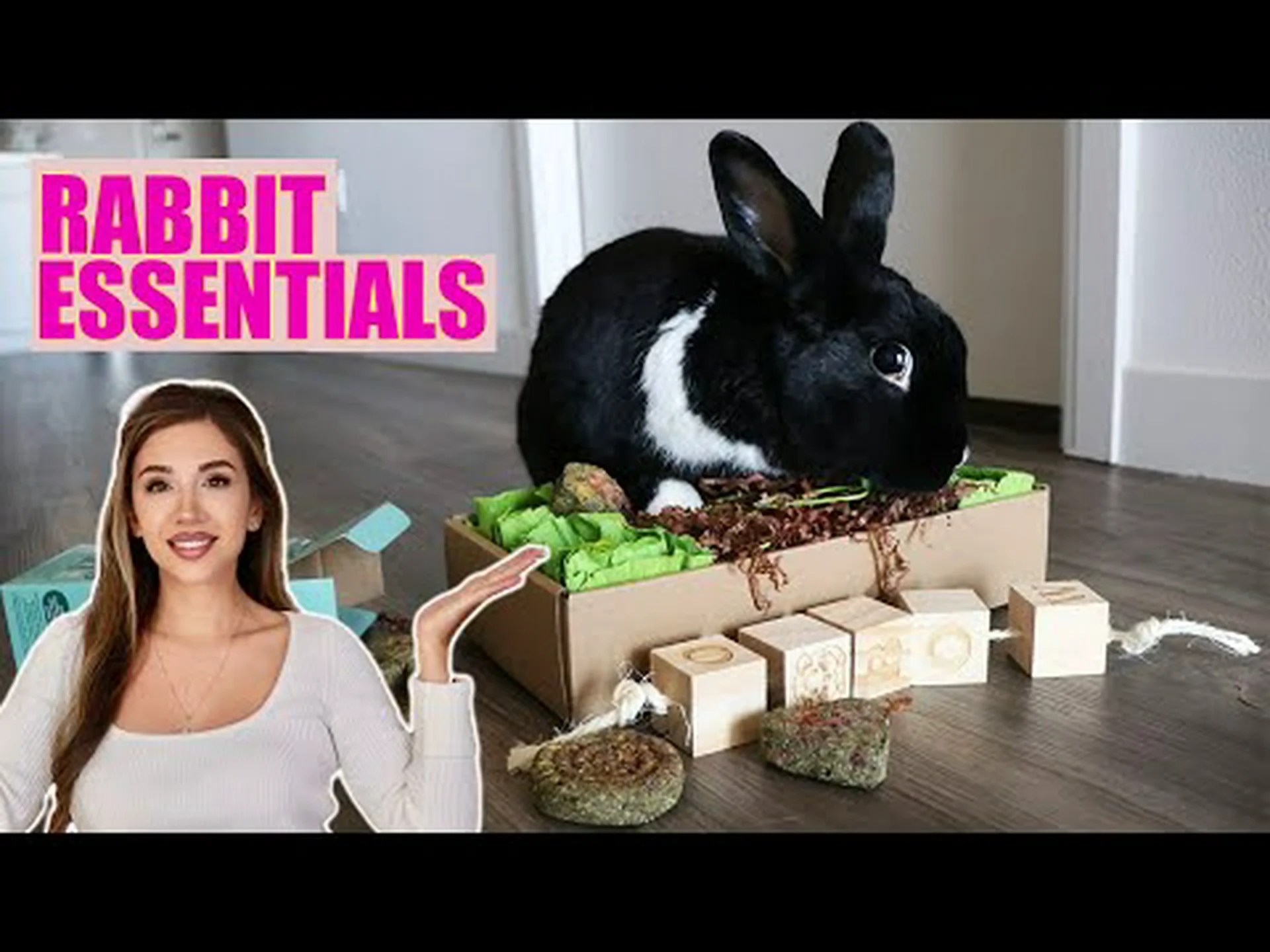 かわいいウサギから大きなウサギまで、あらゆる種類のウサギの詳細ガイド かわいいウサギから大きなウサギまで、あらゆる種類のウサギの詳細ガイド