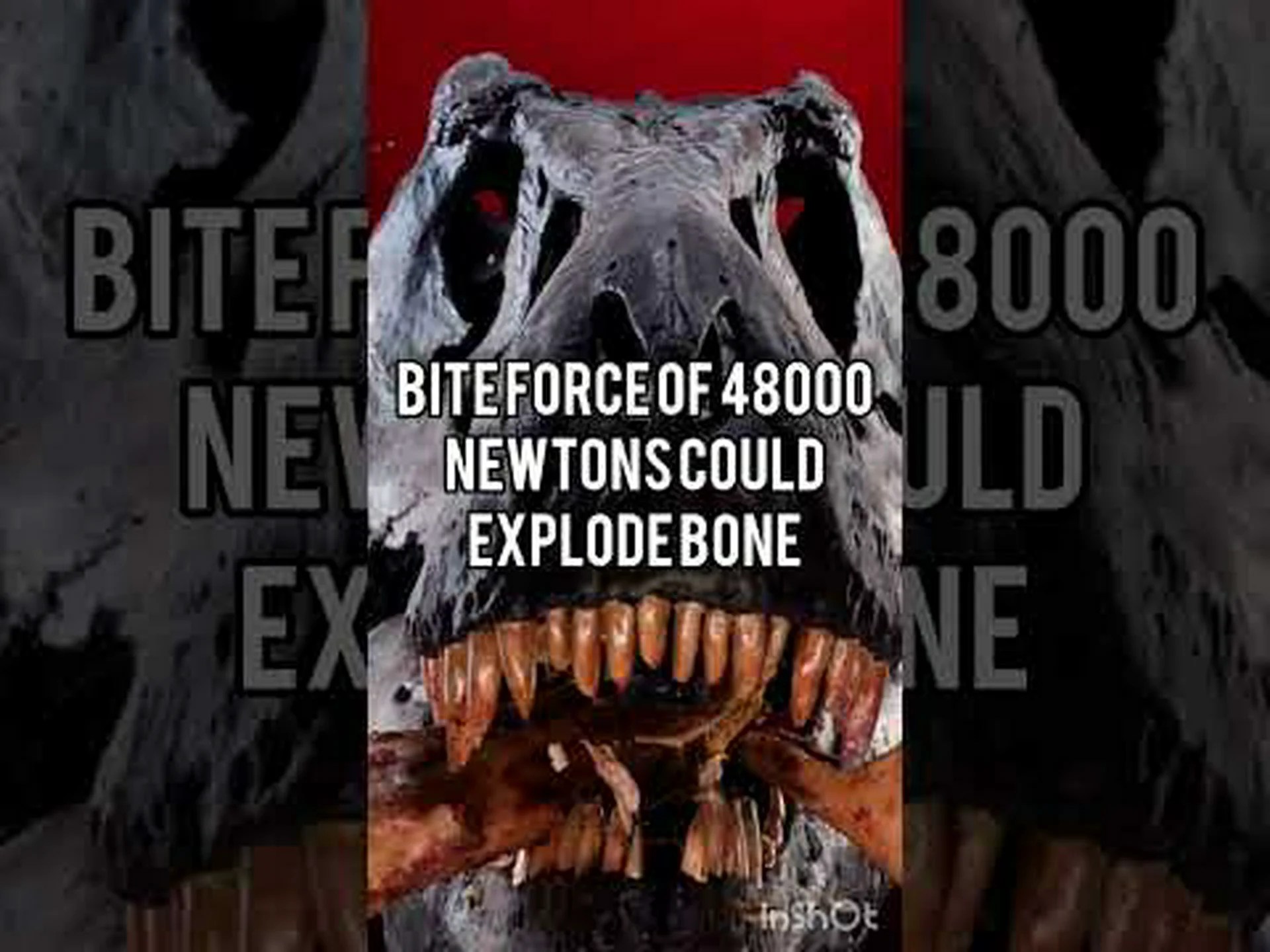 ティラノサウルスは獣脚類でした。さらに9人の小型武装肉食者を発見 ティラノサウルスは獣脚類でした。さらに9人の小型武装肉食者を発見