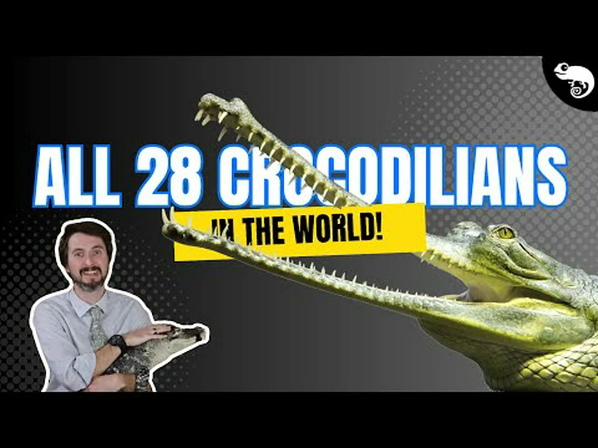 世界で最も奇妙なワニを紹介します (オレンジ色で洞窟に住んでいます!) 世界で最も奇妙なワニを紹介します (オレンジ色で洞窟に住んでいます!)