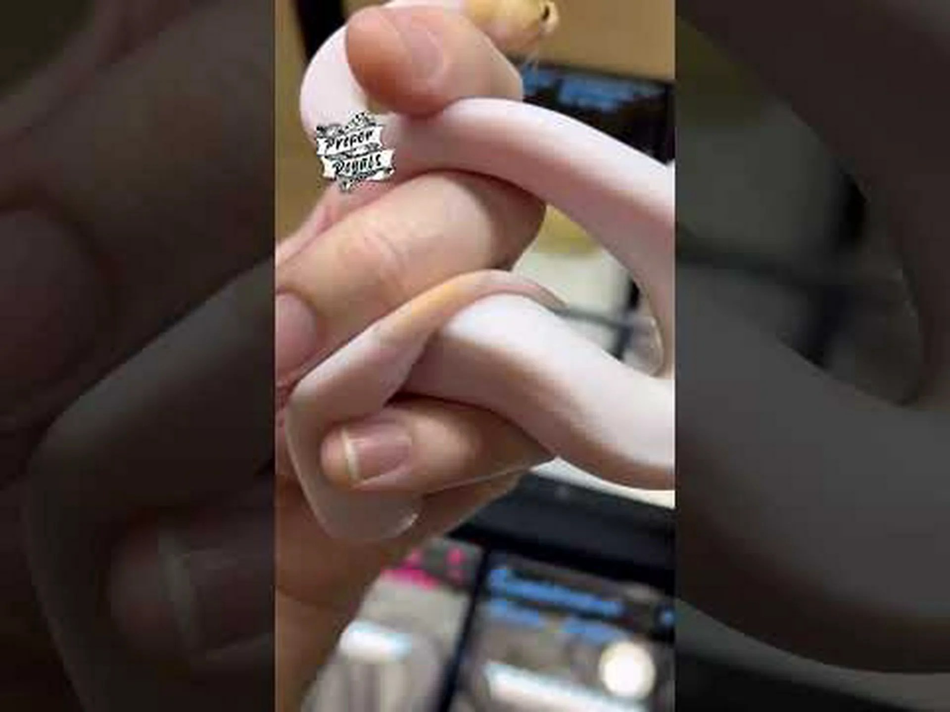 バナナシナモンボールパイソンについていくつかの驚くべき事実を発見した! バナナシナモンボールパイソンについていくつかの驚くべき事実を発見した!