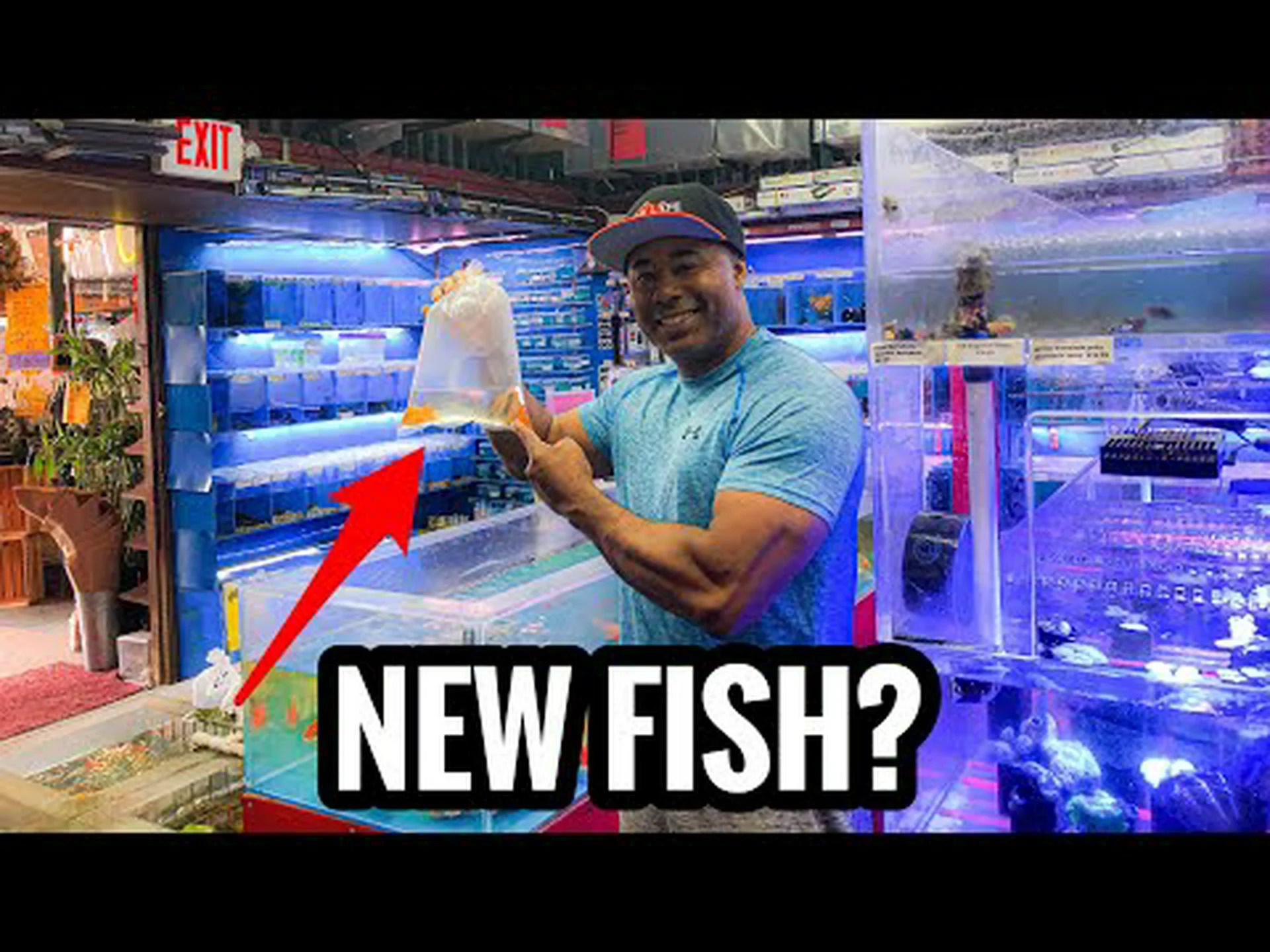 新しい水槽に魚を入れる前にどれくらい待つ必要がありますか? 6 つの重要なヒント 新しい水槽に魚を入れる前にどれくらい待つ必要がありますか? 6 つの重要なヒント