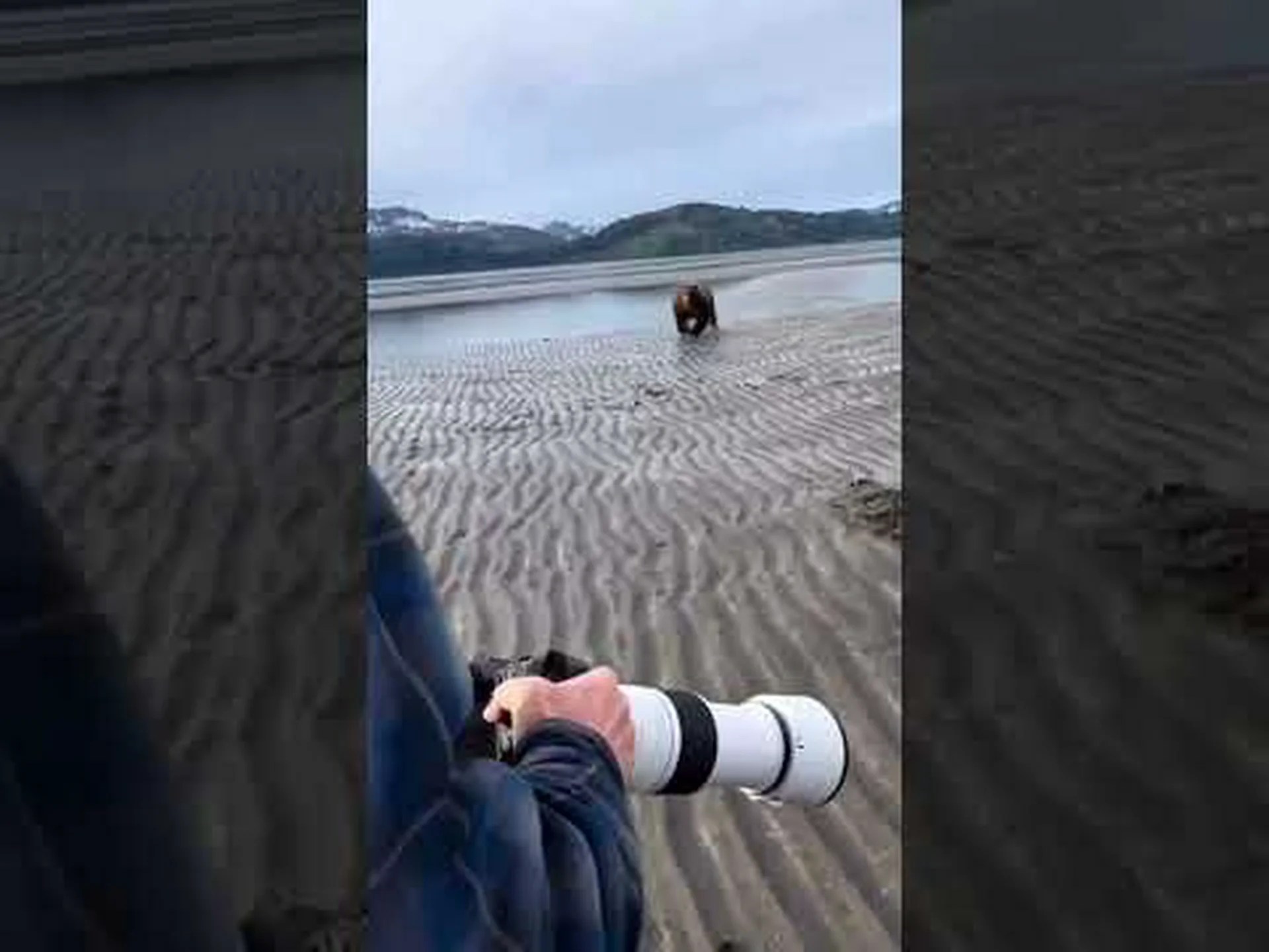 アラスカの男性は別の品種で、充電するグリズリーを簡単に見つめます アラスカの男性は別の品種で、充電するグリズリーを簡単に見つめます