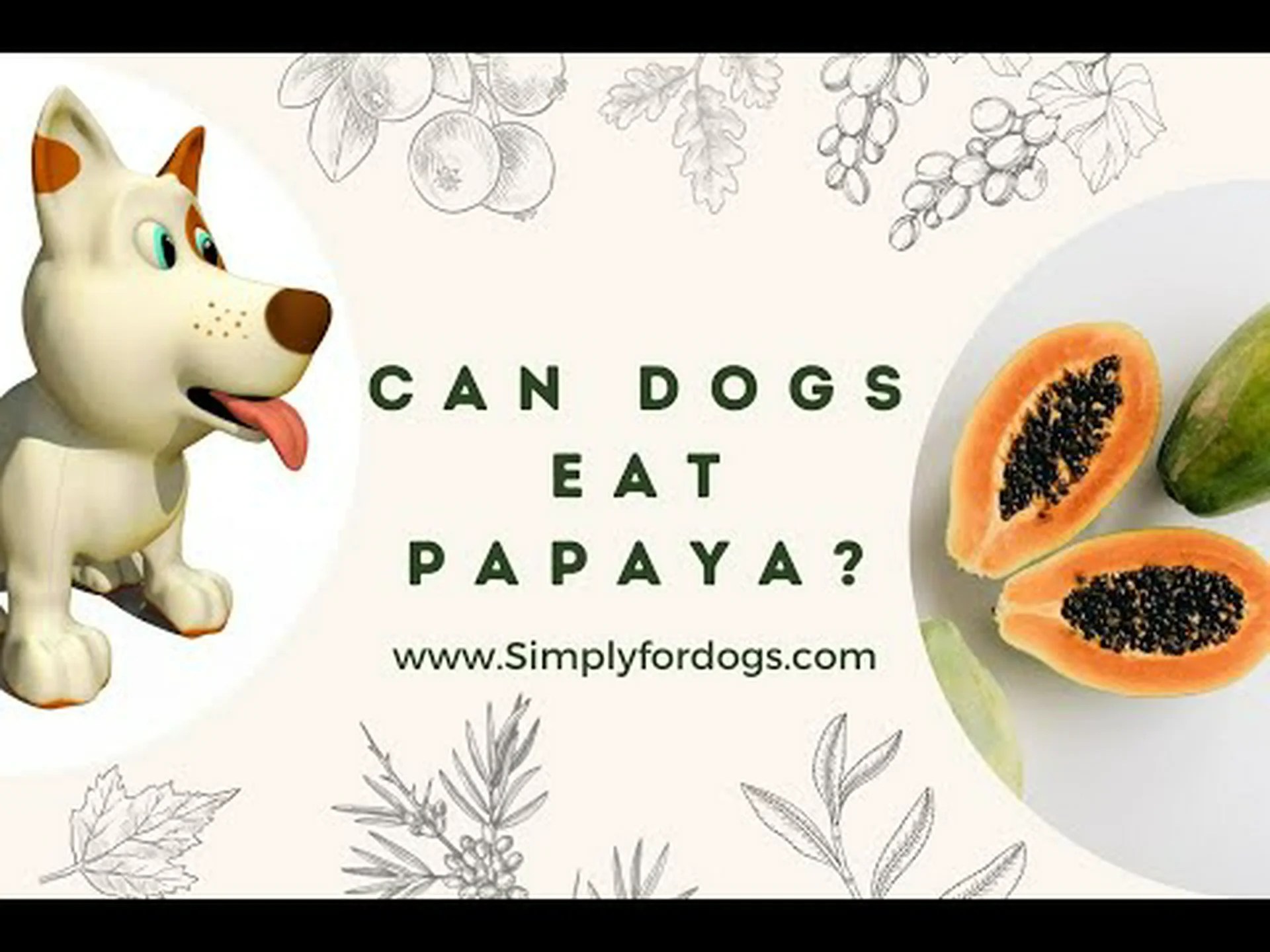 あなたの犬はパパイヤを食べても大丈夫ですか?リスクと利点 あなたの犬はパパイヤを食べても大丈夫ですか?リスクと利点