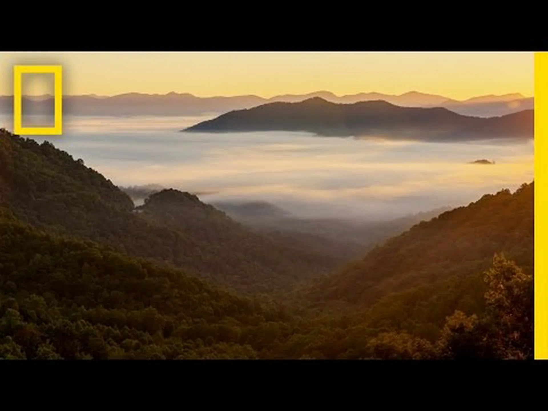 グレート スモーキー山脈が米国最高の国立公園である 6 つの理由 グレート スモーキー山脈が米国最高の国立公園である 6 つの理由