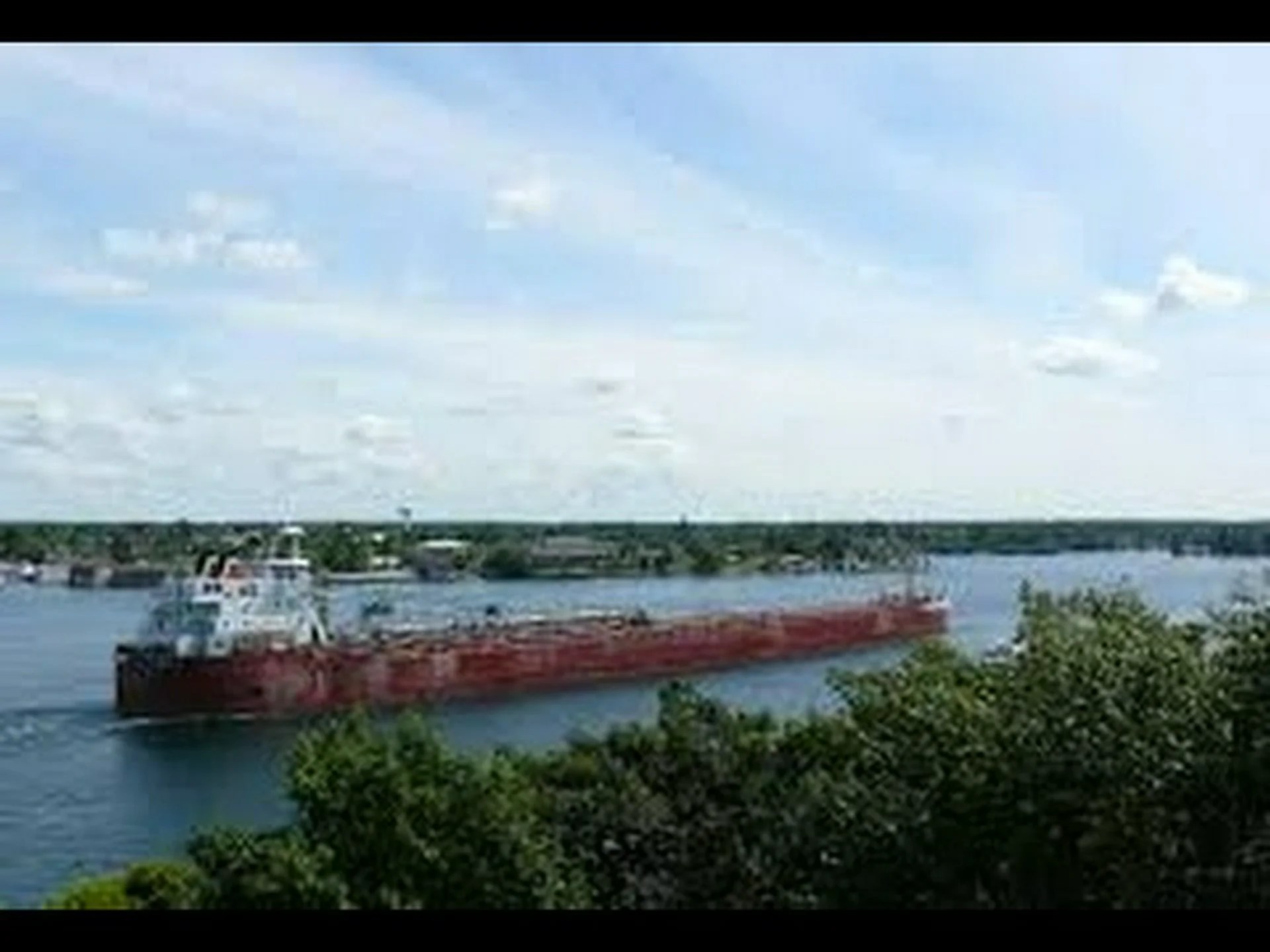 セントローレンス川の野生生物、大きさ、アクティビティなど セントローレンス川の野生生物、大きさ、アクティビティなど