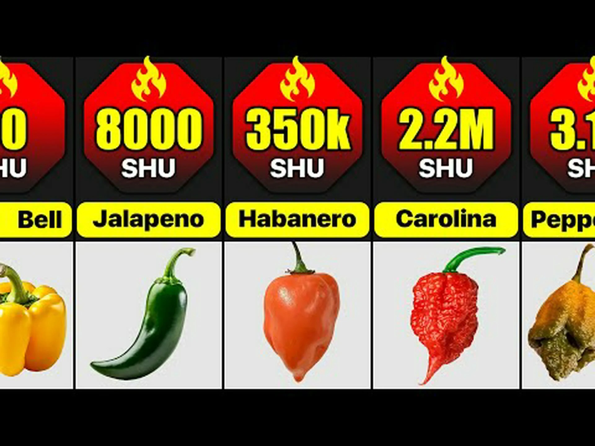 ハバネロとゴーストペッパー: 違いは何ですか? ハバネロとゴーストペッパー: 違いは何ですか?