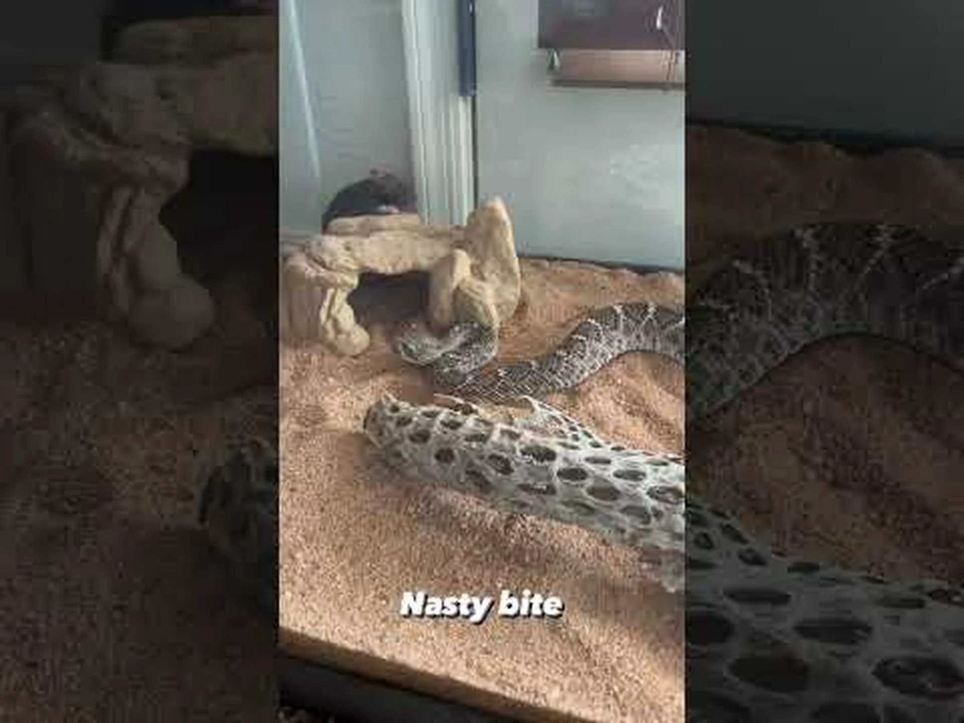 地球上で最も居住不可能な場所トップ 10 地球上で最も居住不可能な場所トップ 10